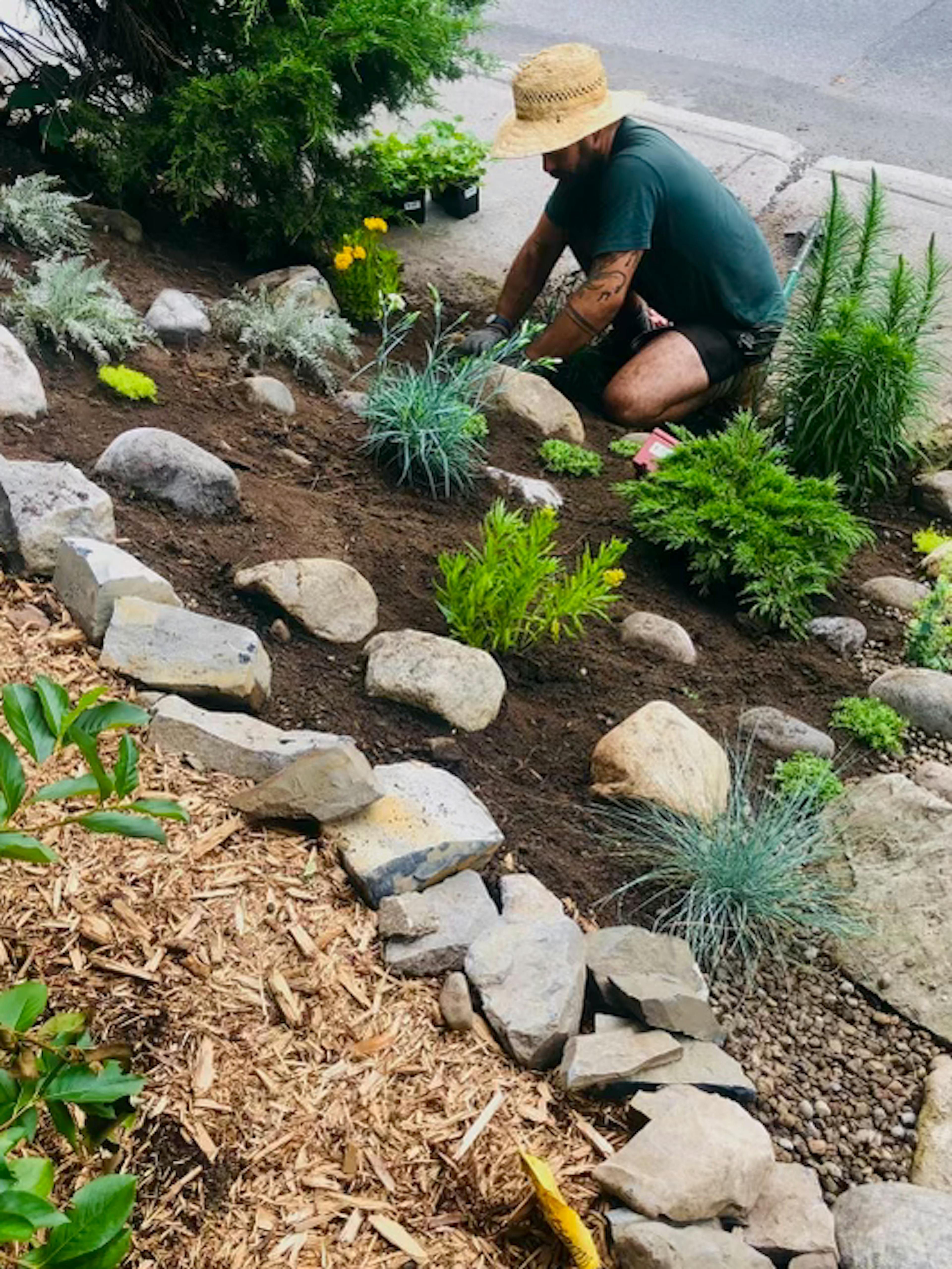 Rocaille sur une pente avec bordure en pierre, graminées ornementales et plantes résistantes à la sécheresse.