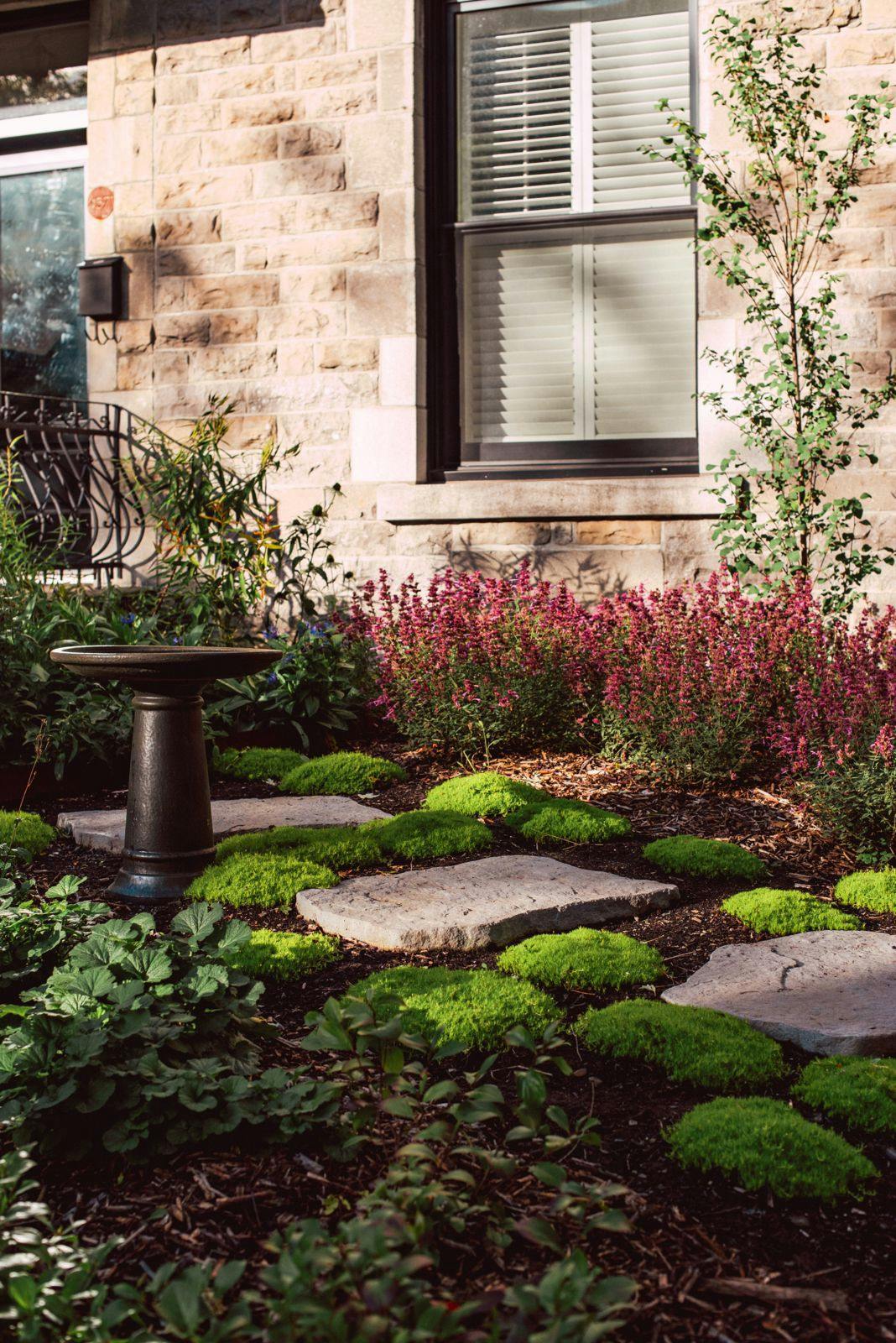 Aménagement paysager de façade avec dalles en pierre naturelle, bain d’oiseaux sur piédestal, tapis de mousse et fleurs vivaces roses devant un mur en pierre.