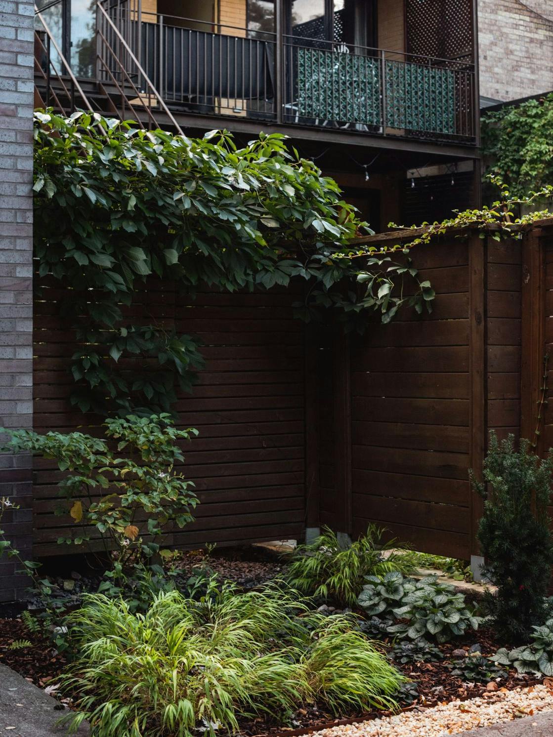 Small urban backyard with wooden fence, shade-loving plants, and climbing vines for privacy landscaping.
