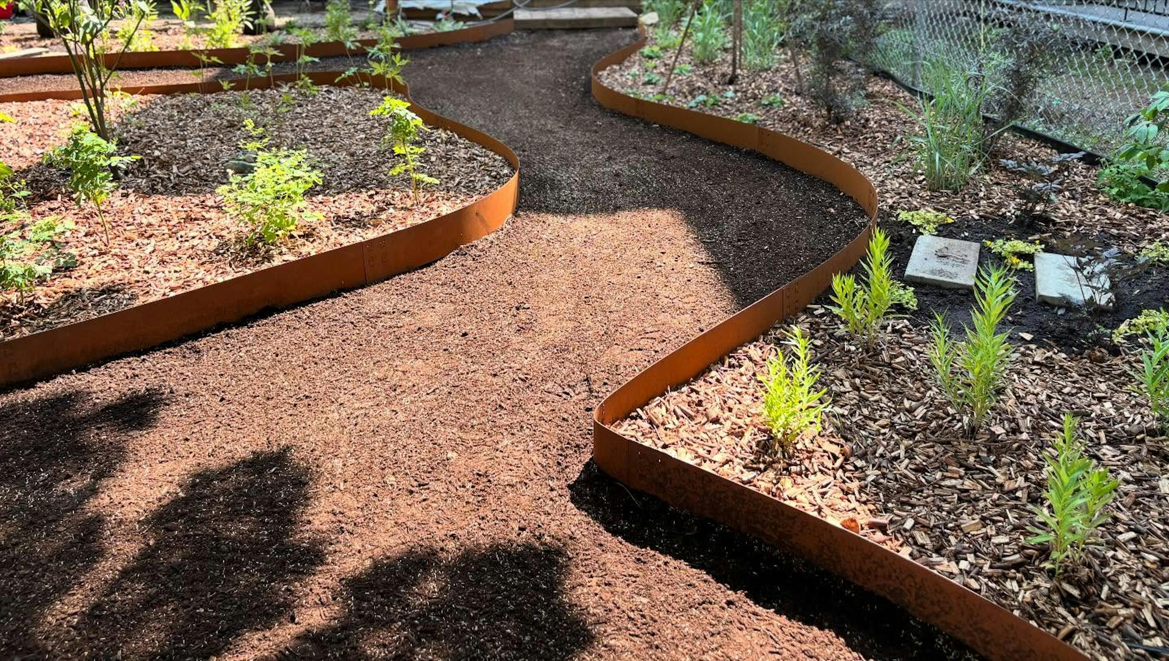 Allée courbe avec bordures en acier corten, jeunes vivaces et paillis pour un jardin arrière moderne.