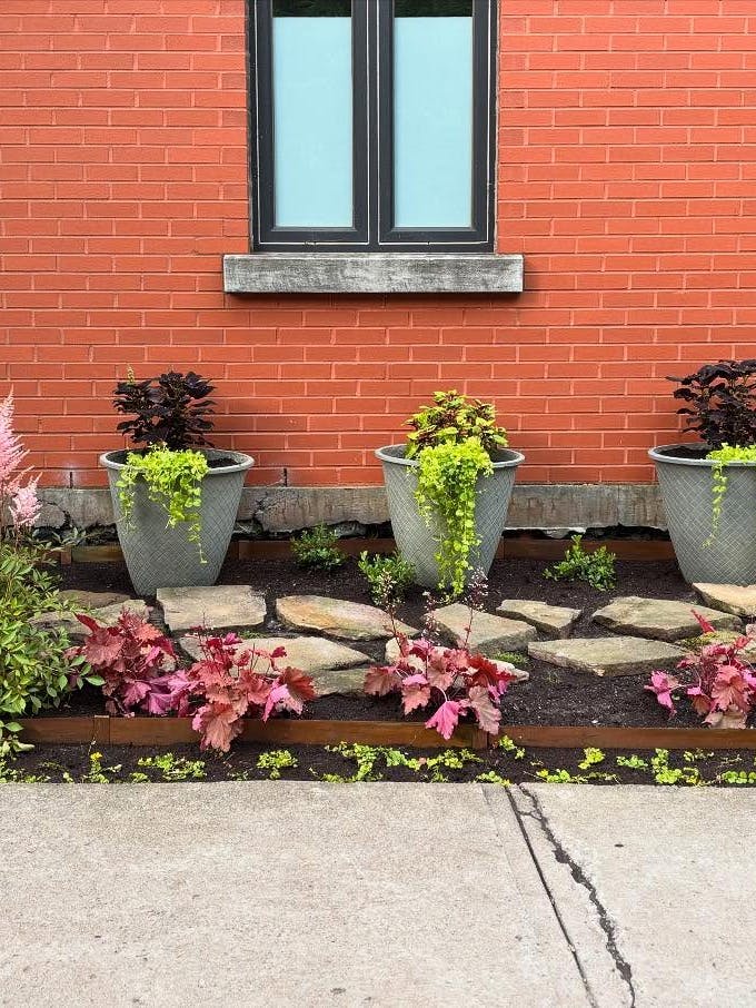 Small urban garden with two tall gray planters holding trailing greenery, pink astilbe, and red-leaf plants in front of a brick wall.