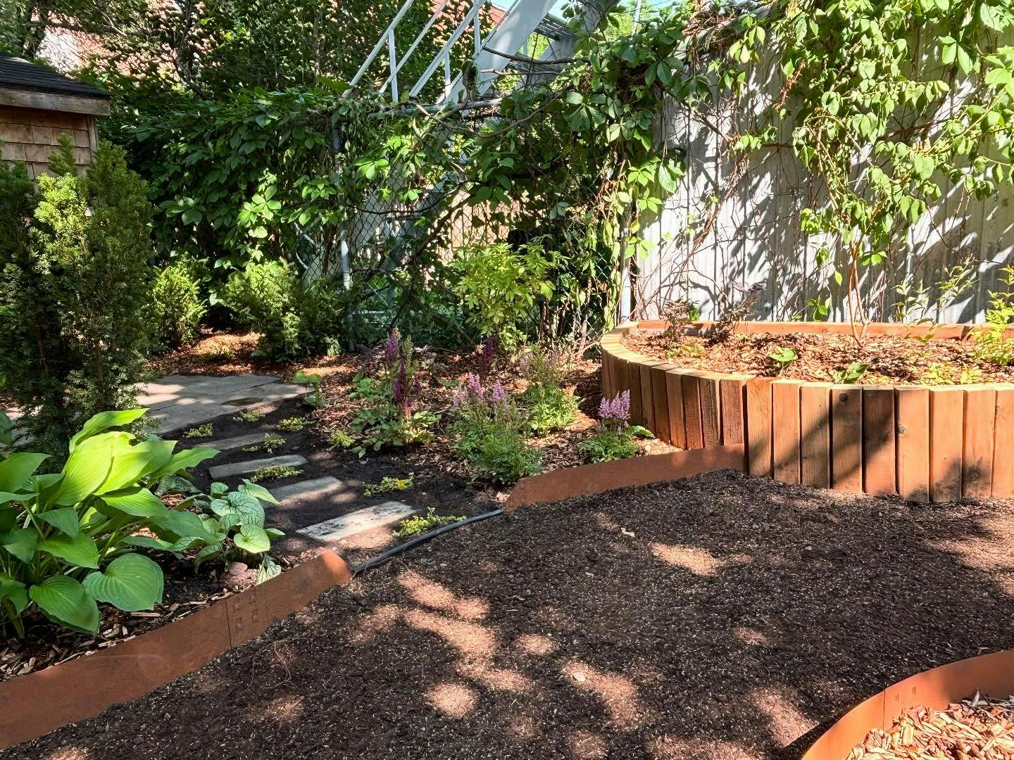 Backyard garden with raised wooden planting bed, young perennials, and shaded seating area with vines on fence.