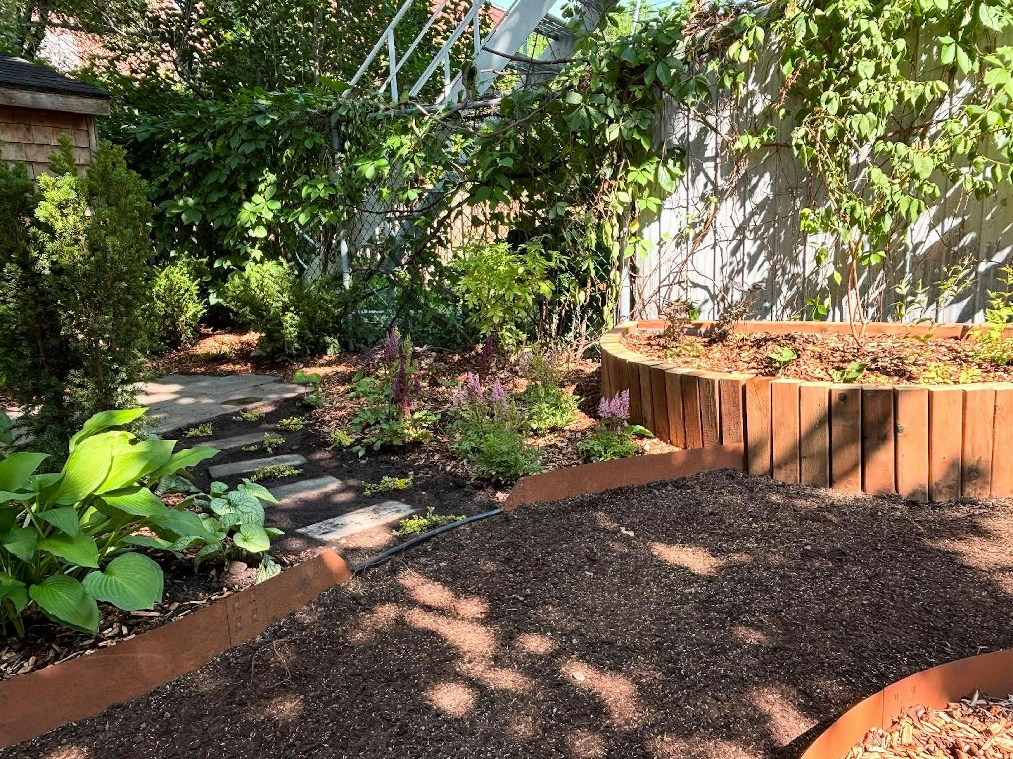 Jardin arrière avec plate-bande en bois surélevée, jeunes vivaces et coin ombragé avec vignes grimpantes sur clôture.