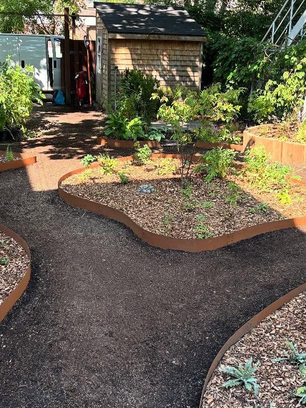 Modern garden with curved raised planting beds edged in steel, filled with young plants and surrounded by gravel pathways.