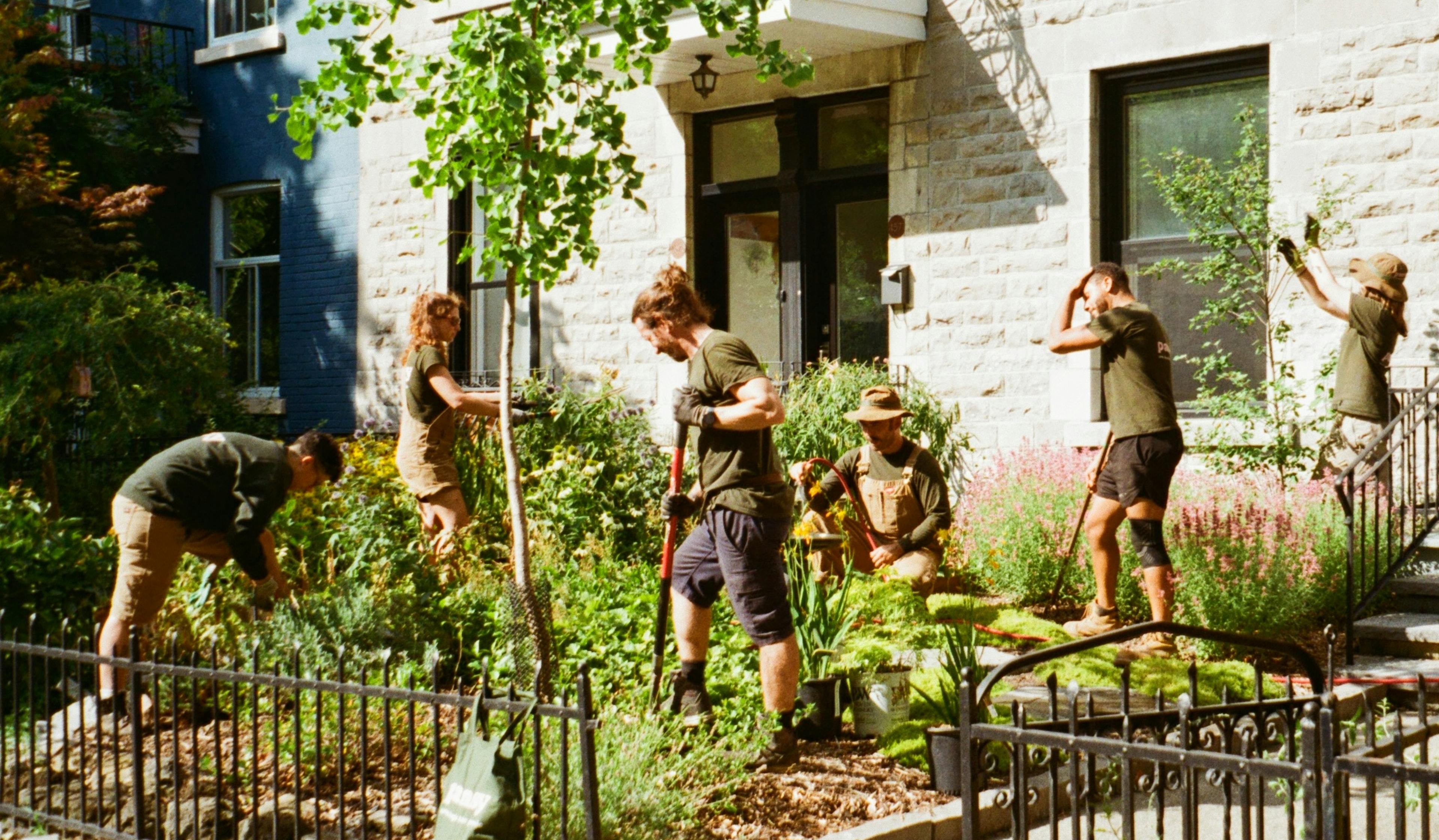 Équipe d’aménagement paysager de Pansy travaillant sur un projet écologique de jardin de façade à Montréal, avec plantations durables devant une maison en pierre.