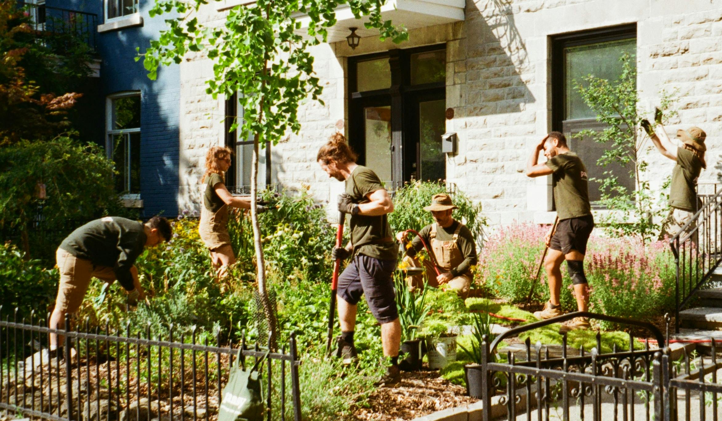 Équipe d’aménagement paysager de Pansy travaillant sur un projet écologique de jardin de façade à Montréal, avec plantations durables devant une maison en pierre.