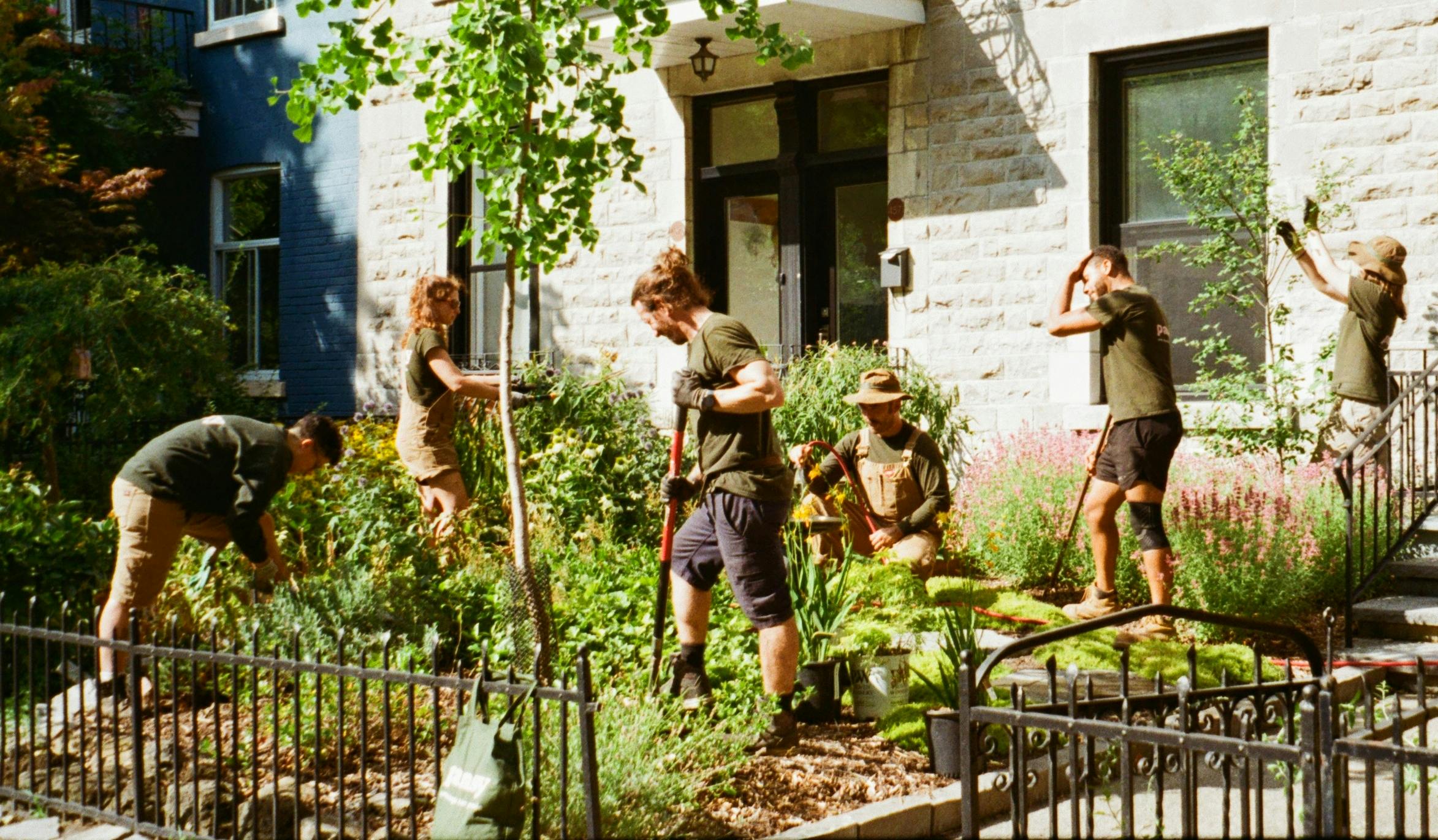 Landscape design team from Pansy working on an eco-friendly front yard garden project in Montreal, with sustainable planting and stone house backdrop.