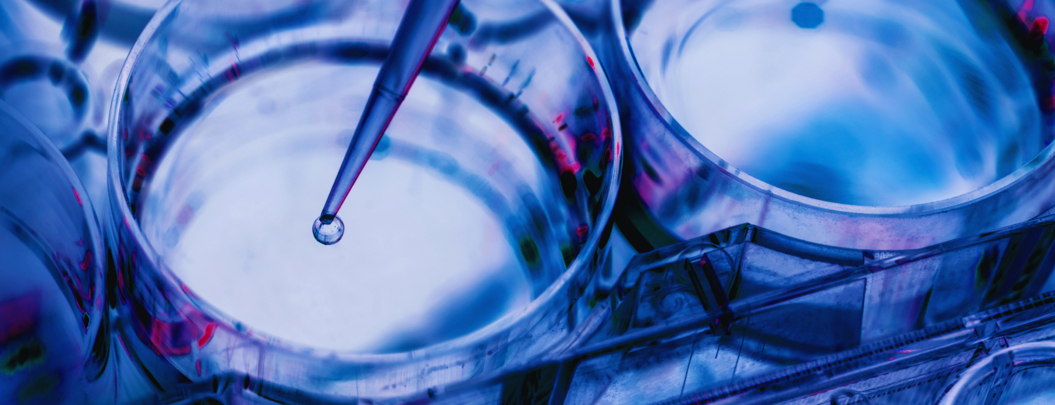 New Types of Clinical Trials: What Are the Prospects for Medical Research?