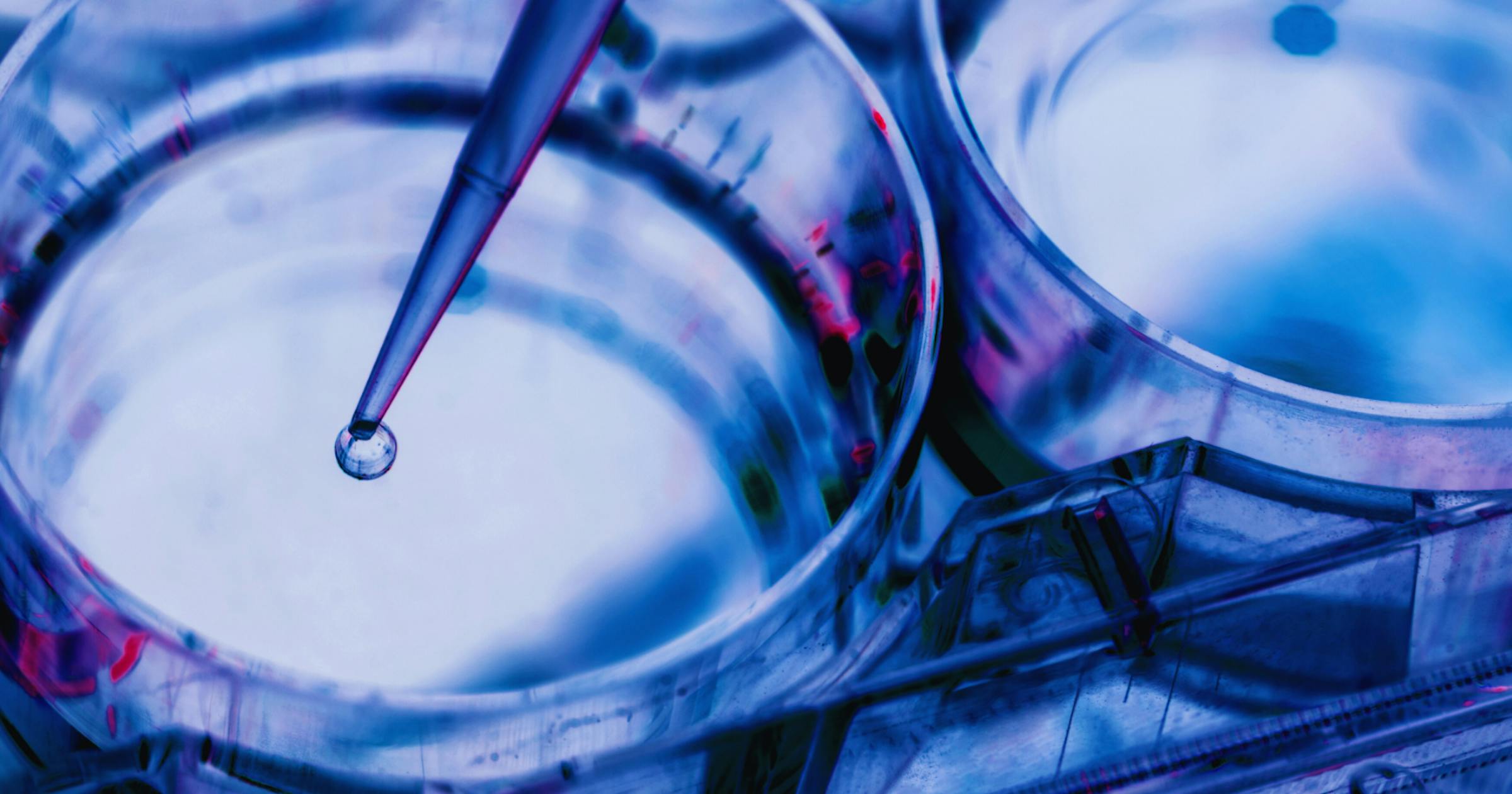 New Types of Clinical Trials: What Are the Prospects for Medical Research?