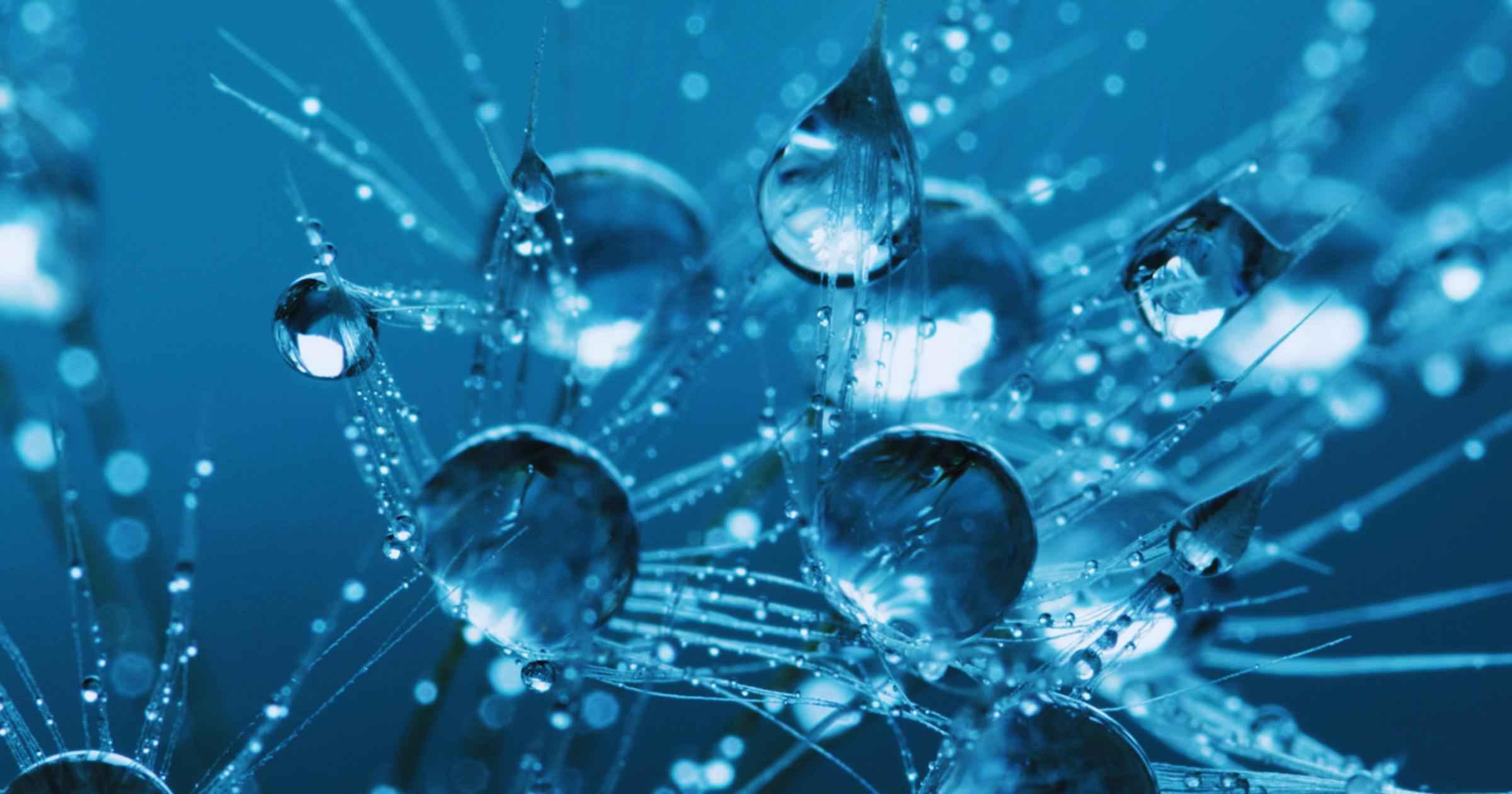 What is scientific monitoring? Definition, methods, examples and tools