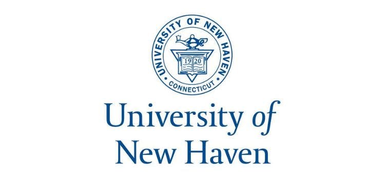 University of New Haven focado no campo acadêmico,
