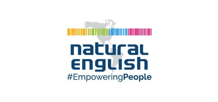 Natural English Logo