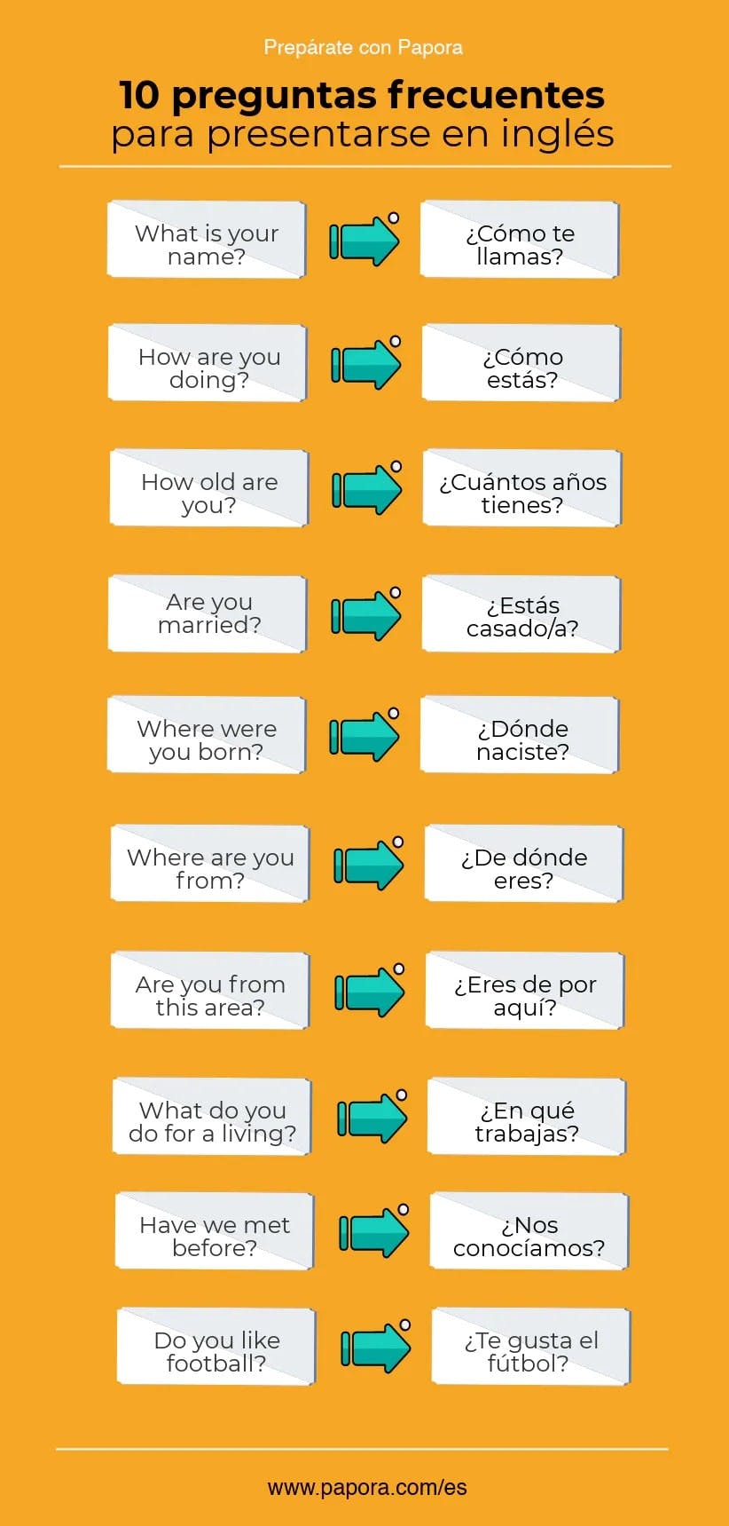 Infográfico da Papora perguntas frequentes em inglês