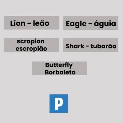 Nomes dos animais em inglês em diferentes grupos