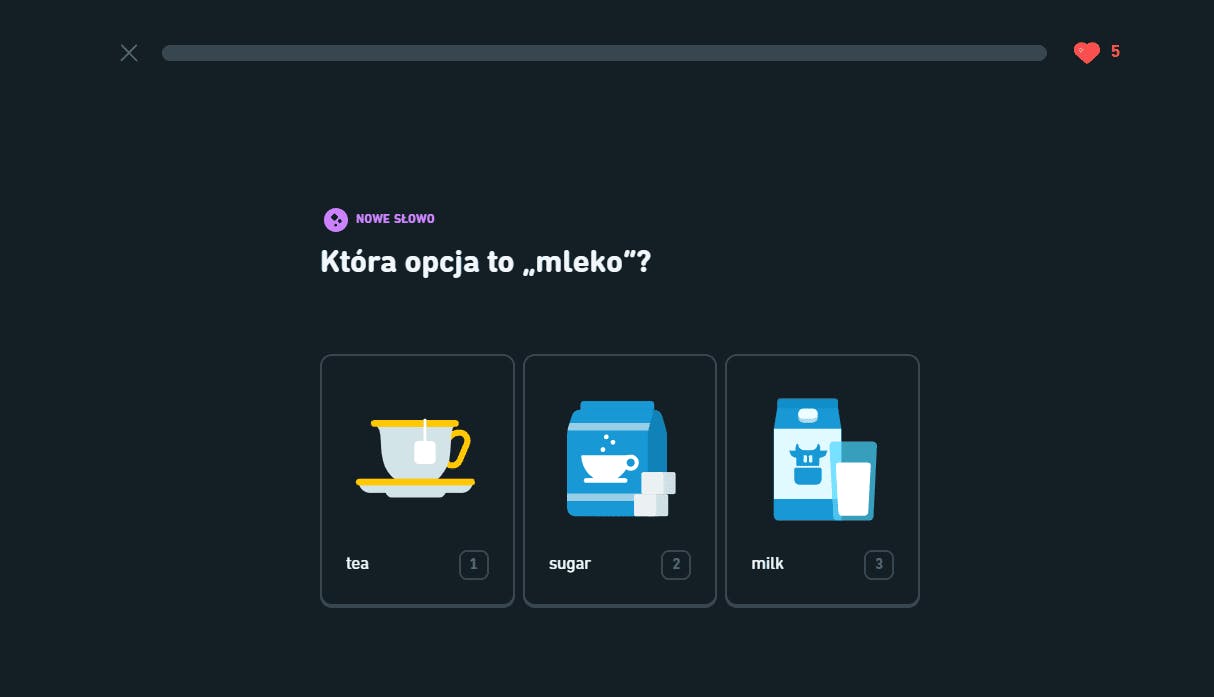 Duolingo_PL_Question