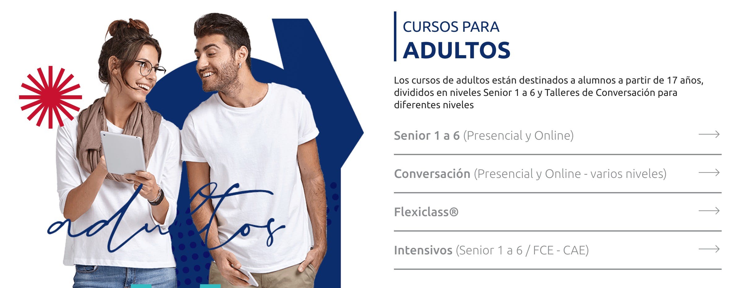 Web de la AACI inglés