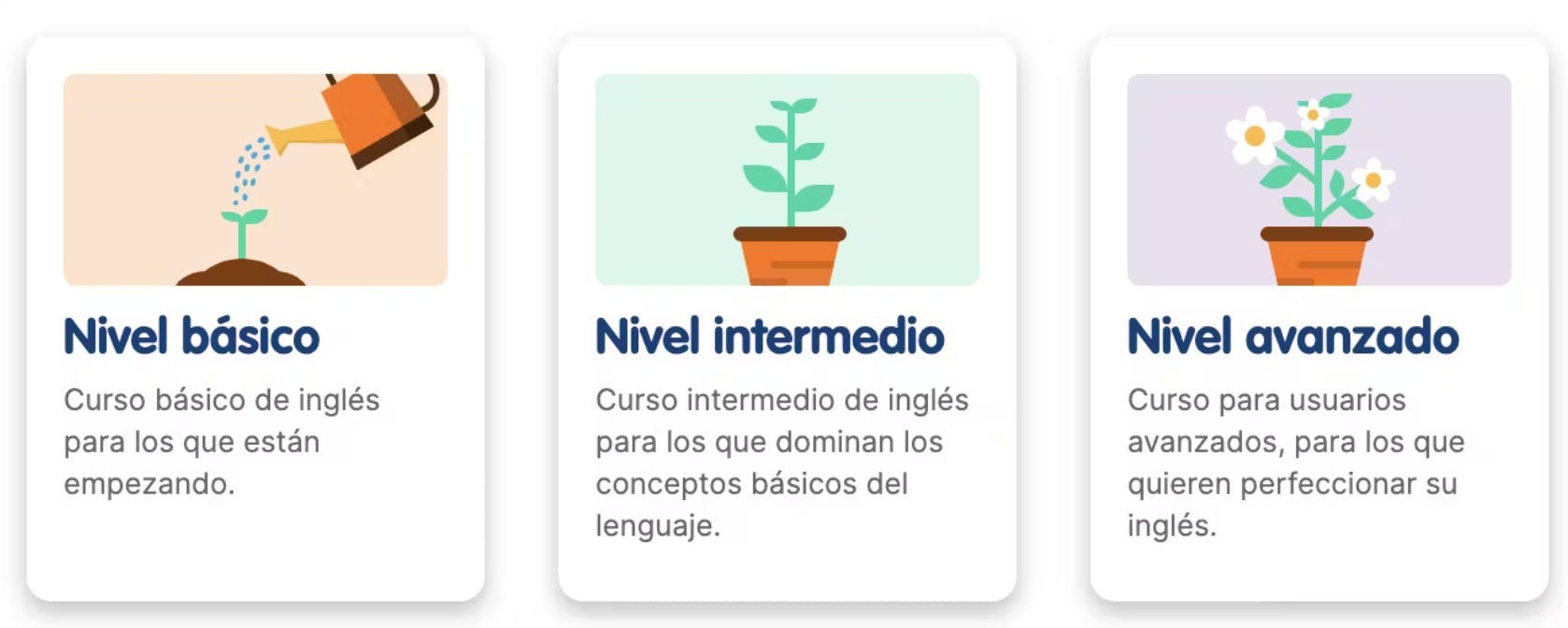 Web de Curso - ingles