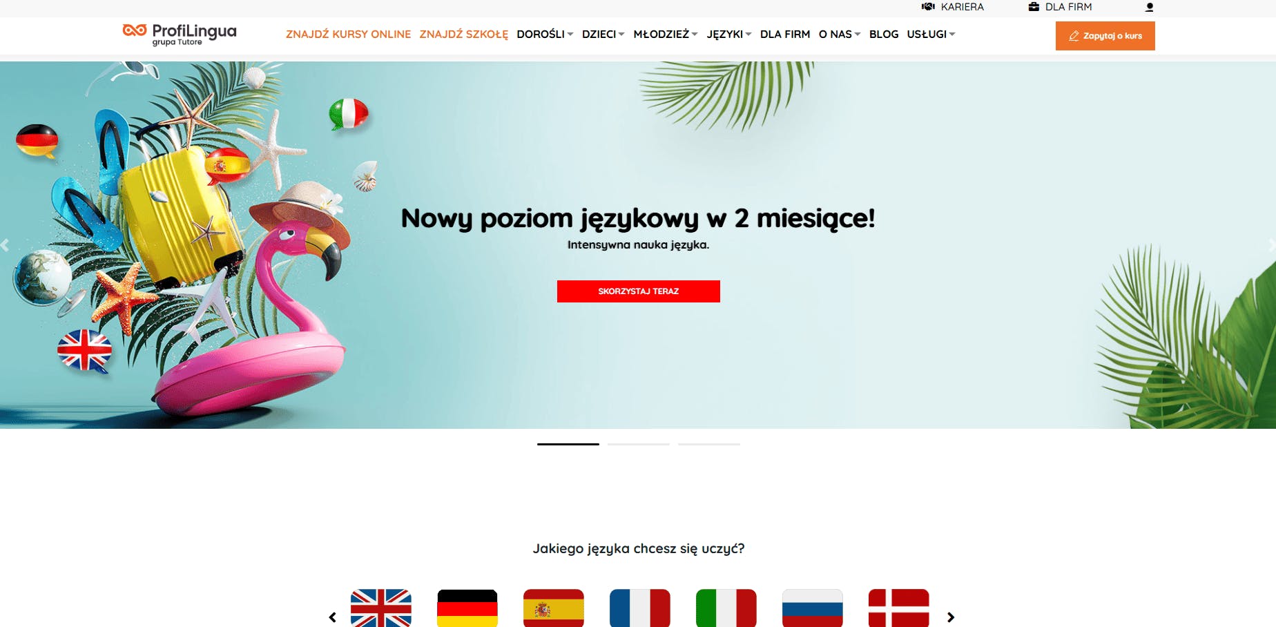 ProfiLingua - strona główna