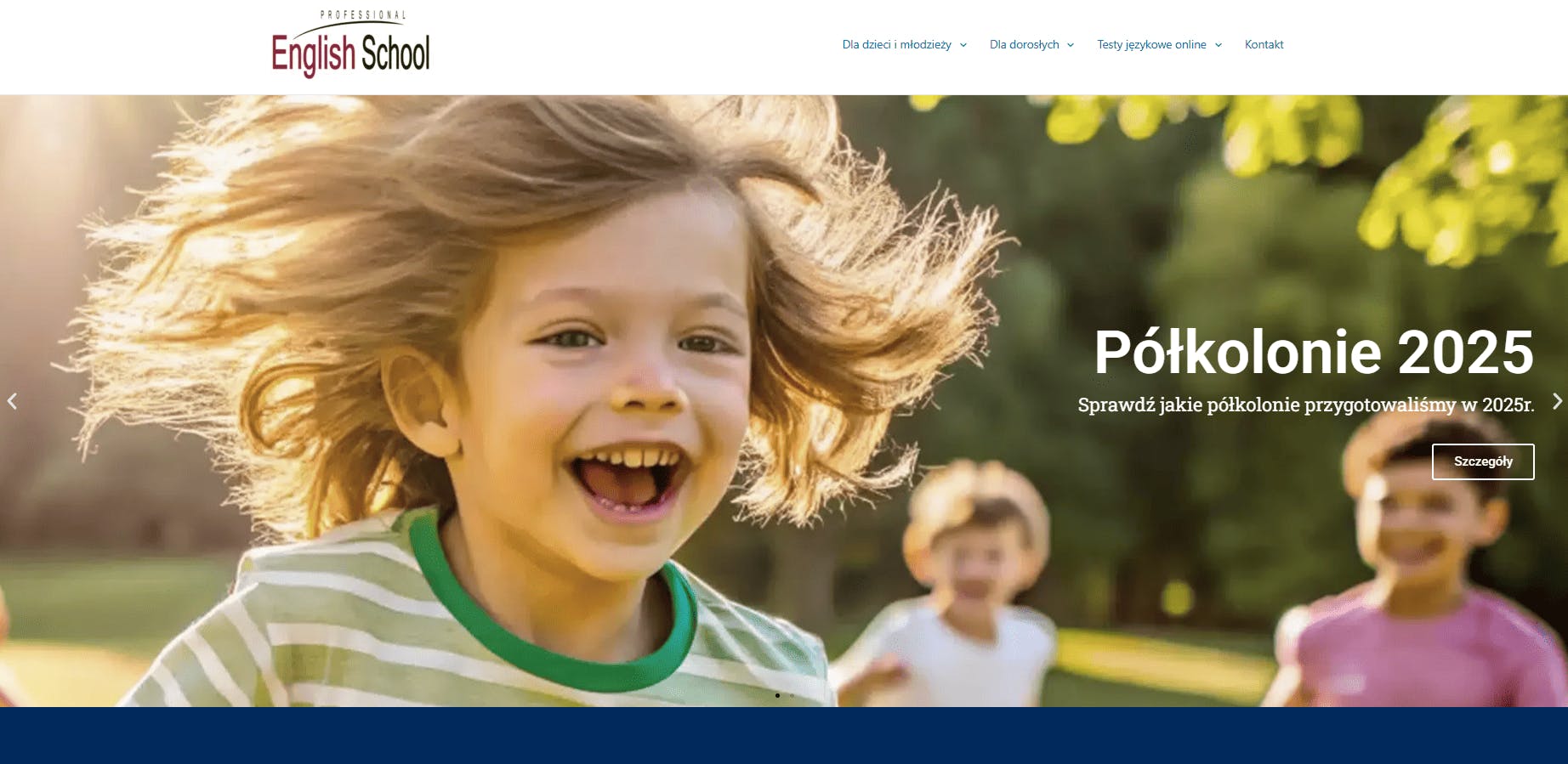 Professional English School