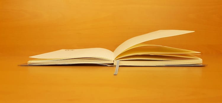 Opiniones de aprender inglés en 7 días de Ramón Campayo