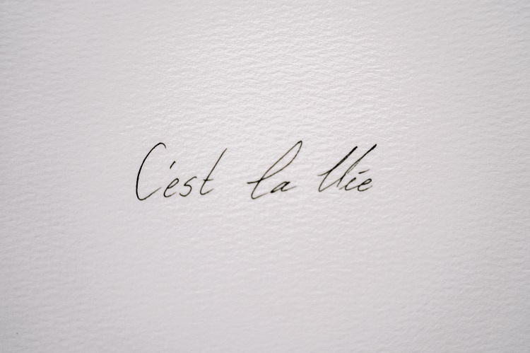 Top 5 - Franc&ecirc;s | "C'est La Vie"