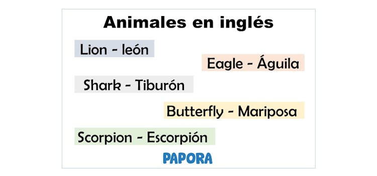 Vocabulario De Animales En Inglés Con Pronunciación | Papora