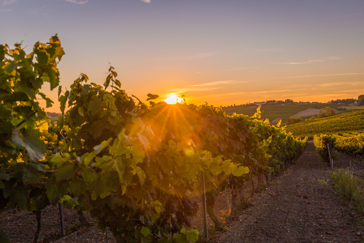 Couché de soleil sur le vignoble gaillacois 