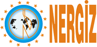 Nergiz Cable logo