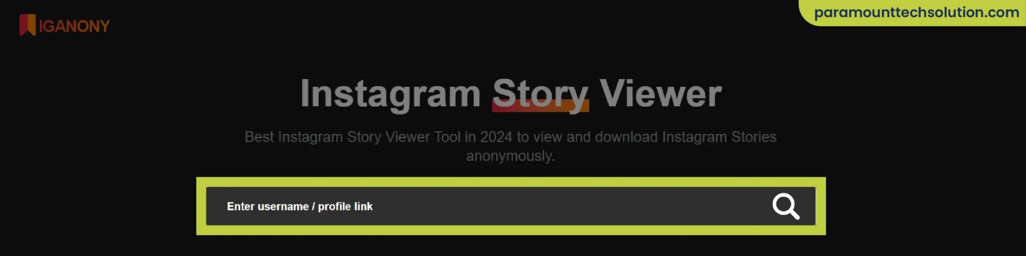 InstaNavigation Instagram Story Viewer