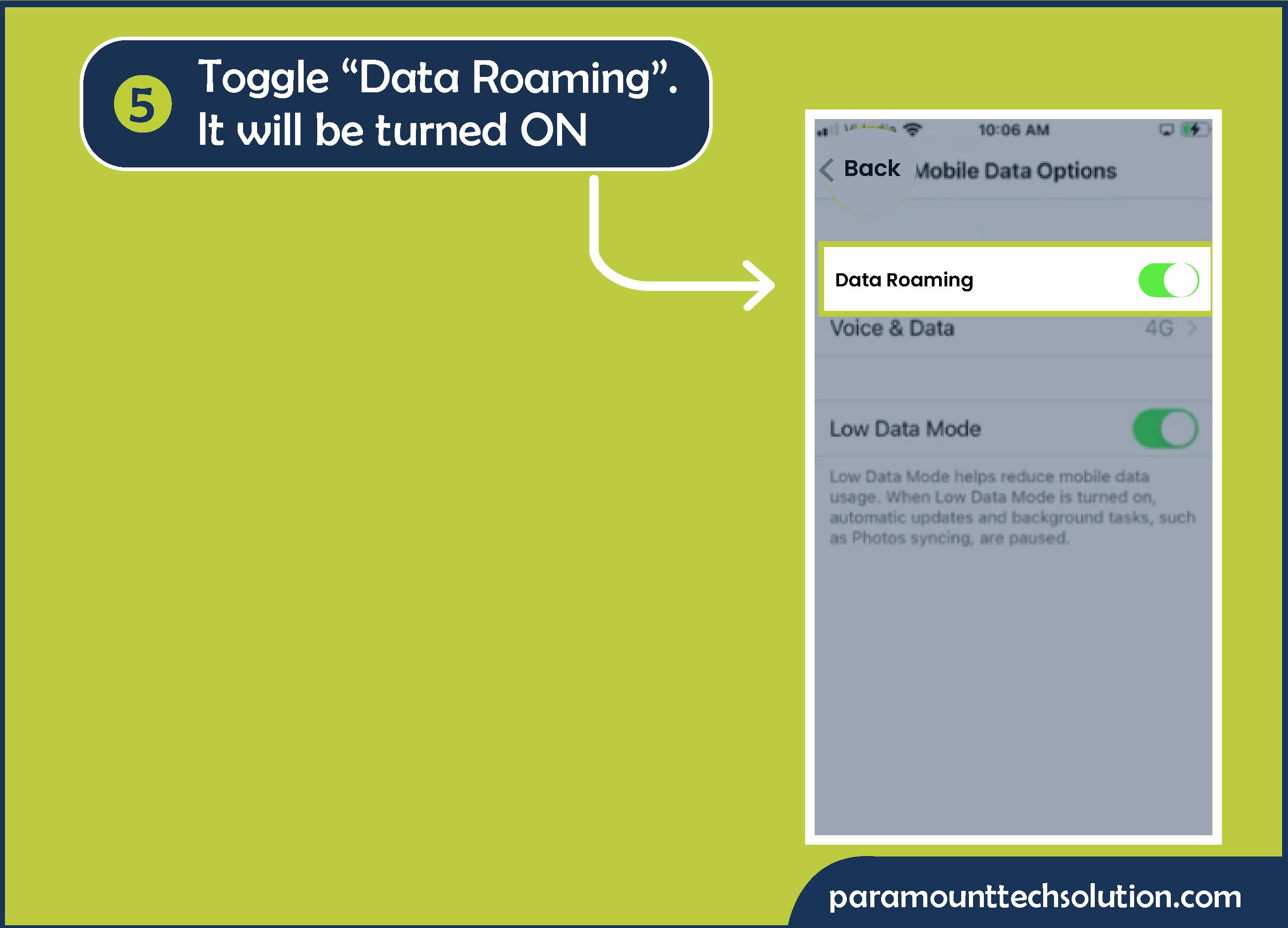 Step 5: Toggle “Data Roaming”. It will be turned ON