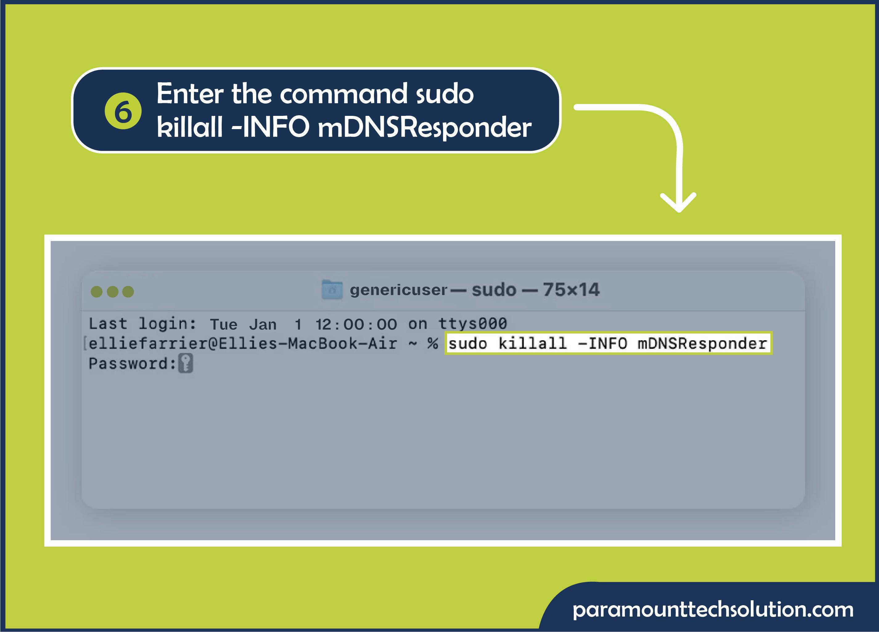 To check history incognito enter the sudo killall -INFO mDNSResponder and press enter.