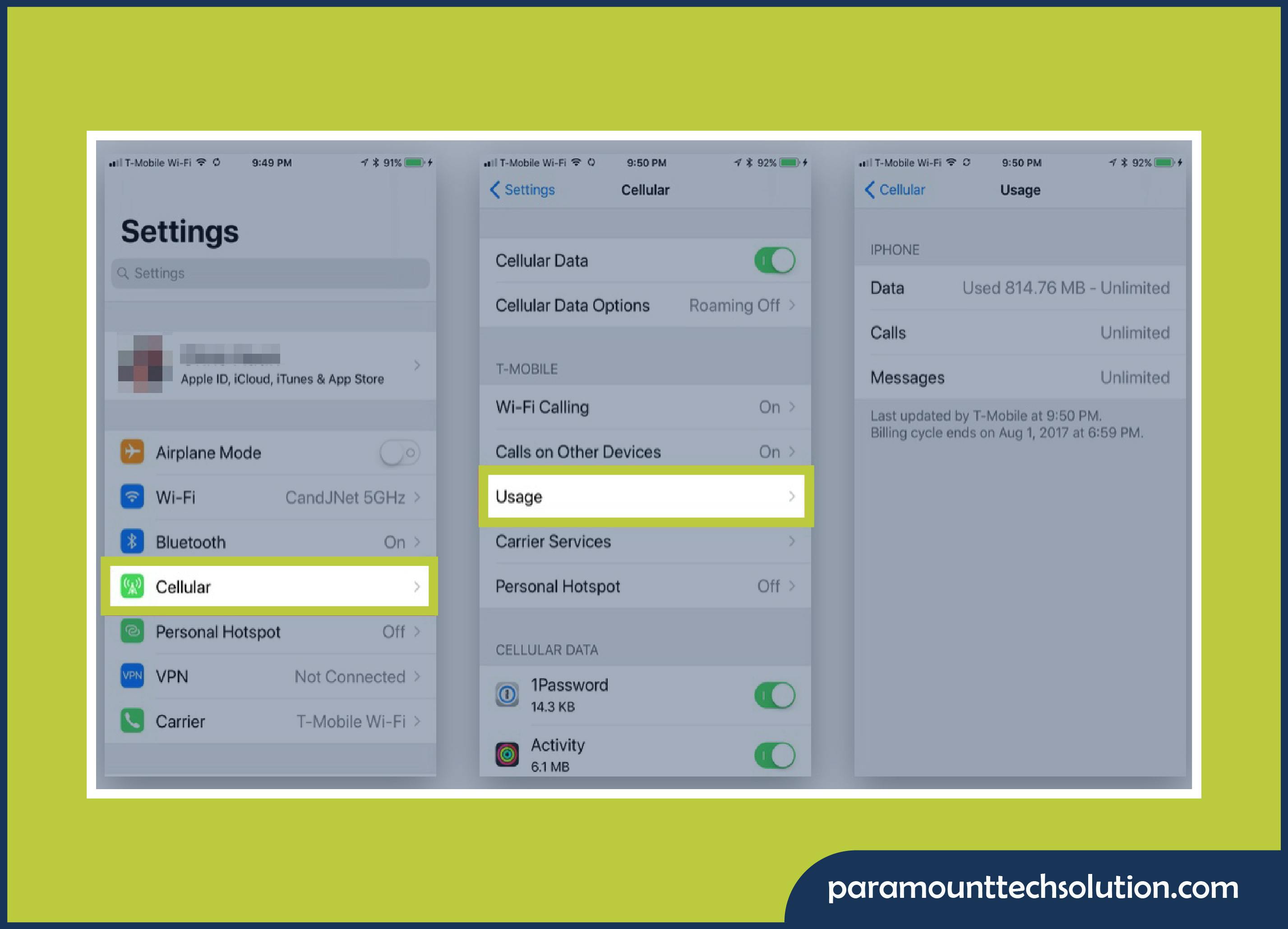 open the Settings app and click Cellular or Mobile Data