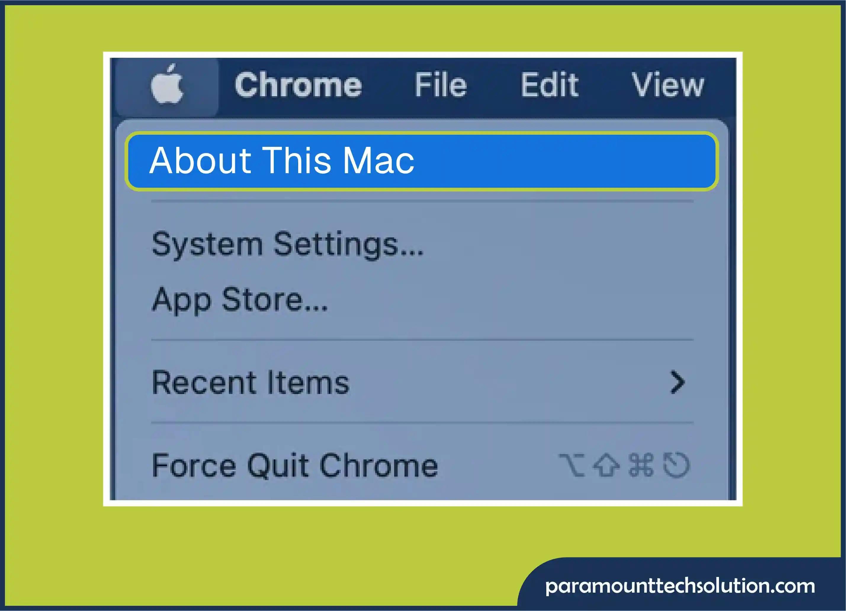 Steps to check the version of RAM on macOS