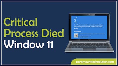Critical Process Died Window 11