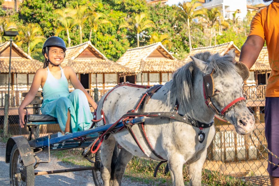 menina em carroça com cavalo em hotel