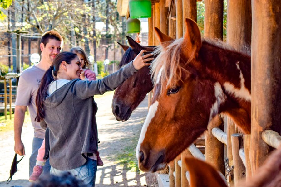 família em contato com os cavalos em mini fazendinha