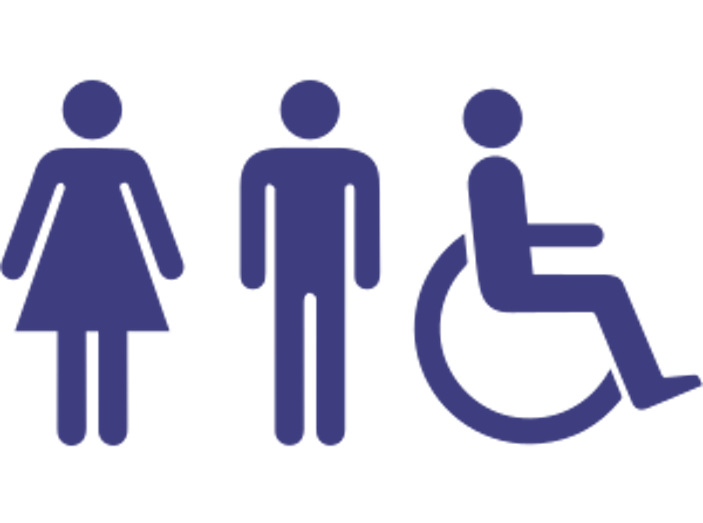 Disability Icon