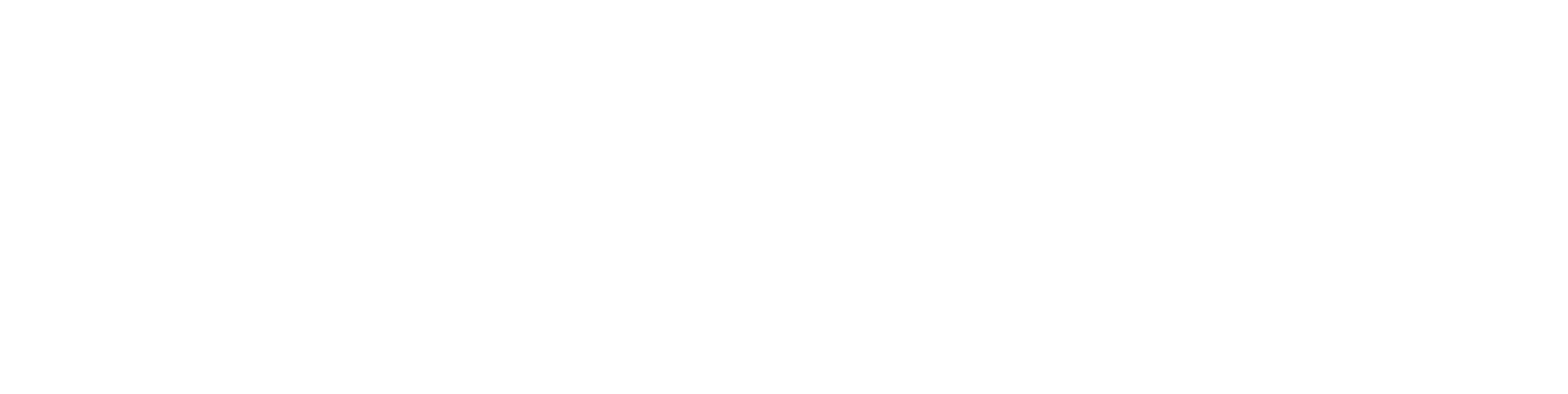 Partners Development Group logo in white on a transparent background