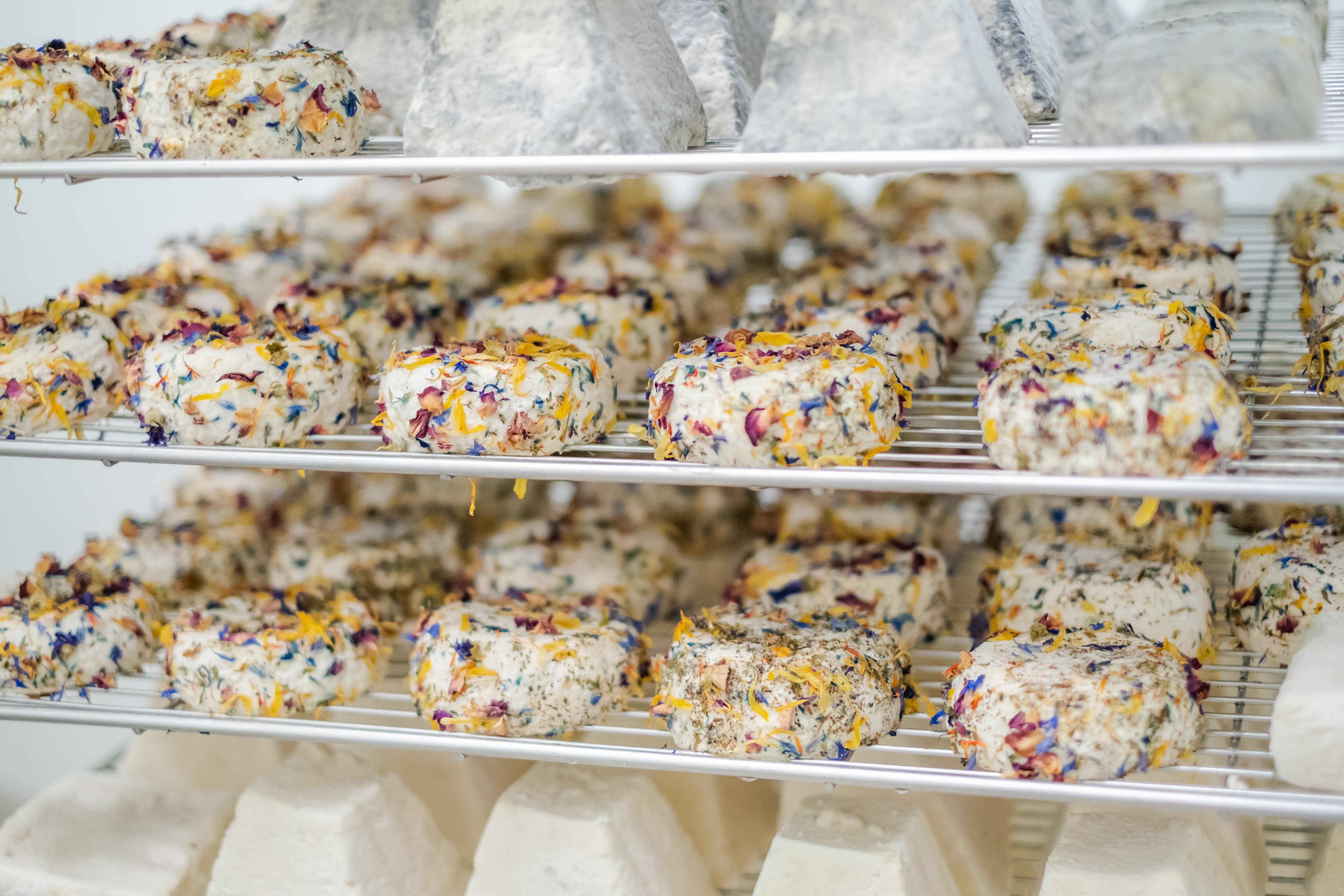 photographe entreprise Bressuire