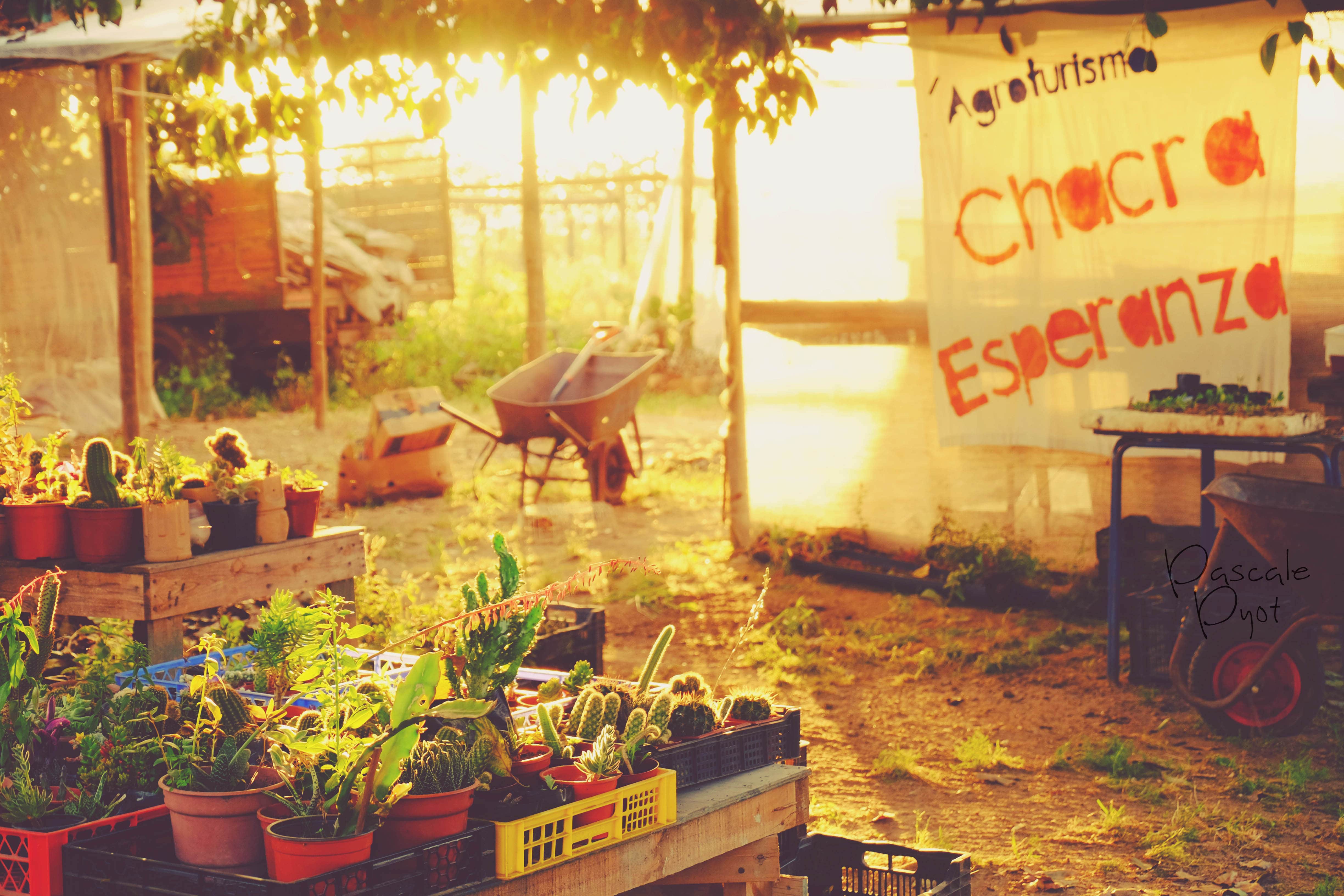 photographe Bressuire