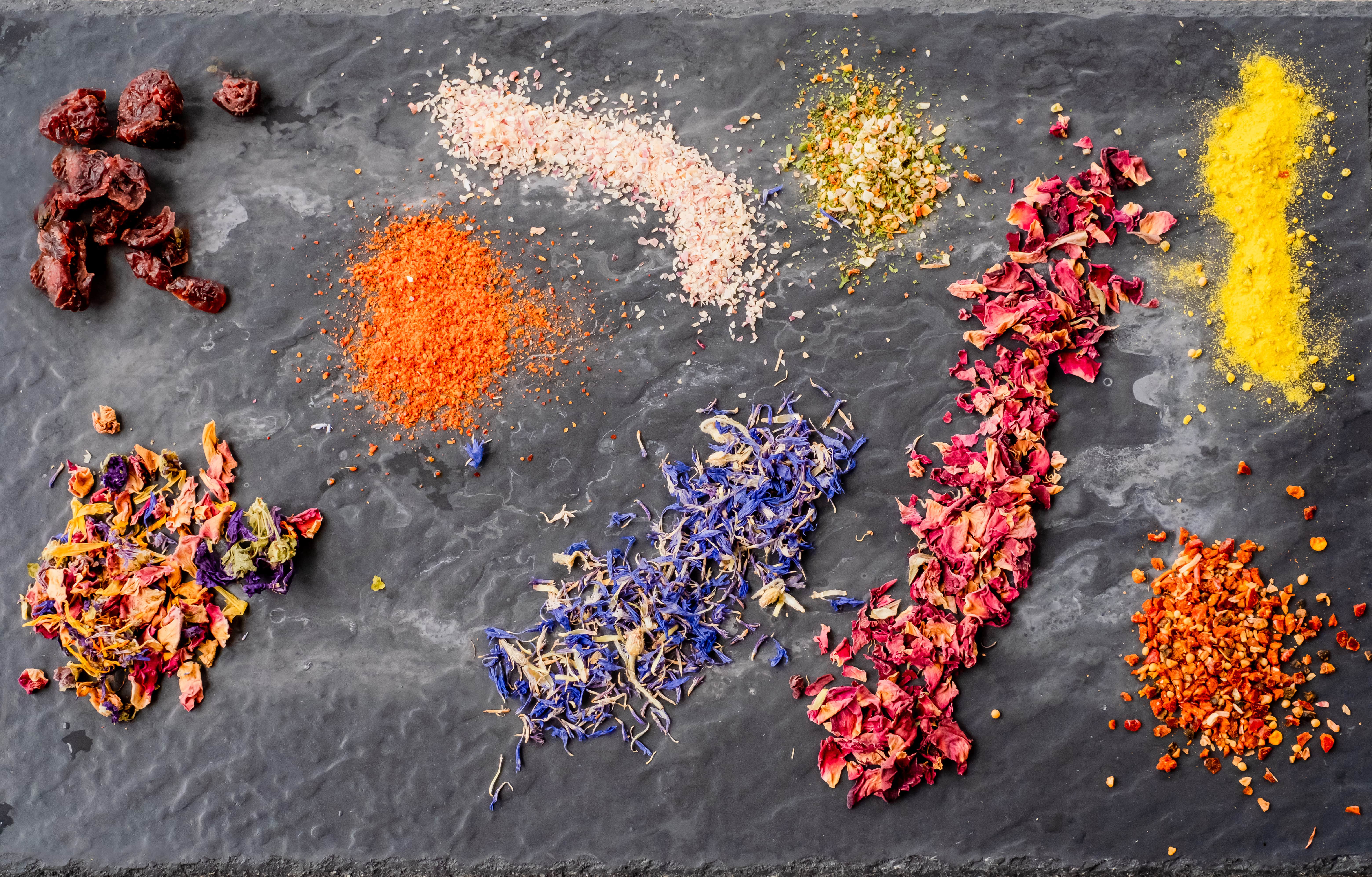 photographe Bressuire