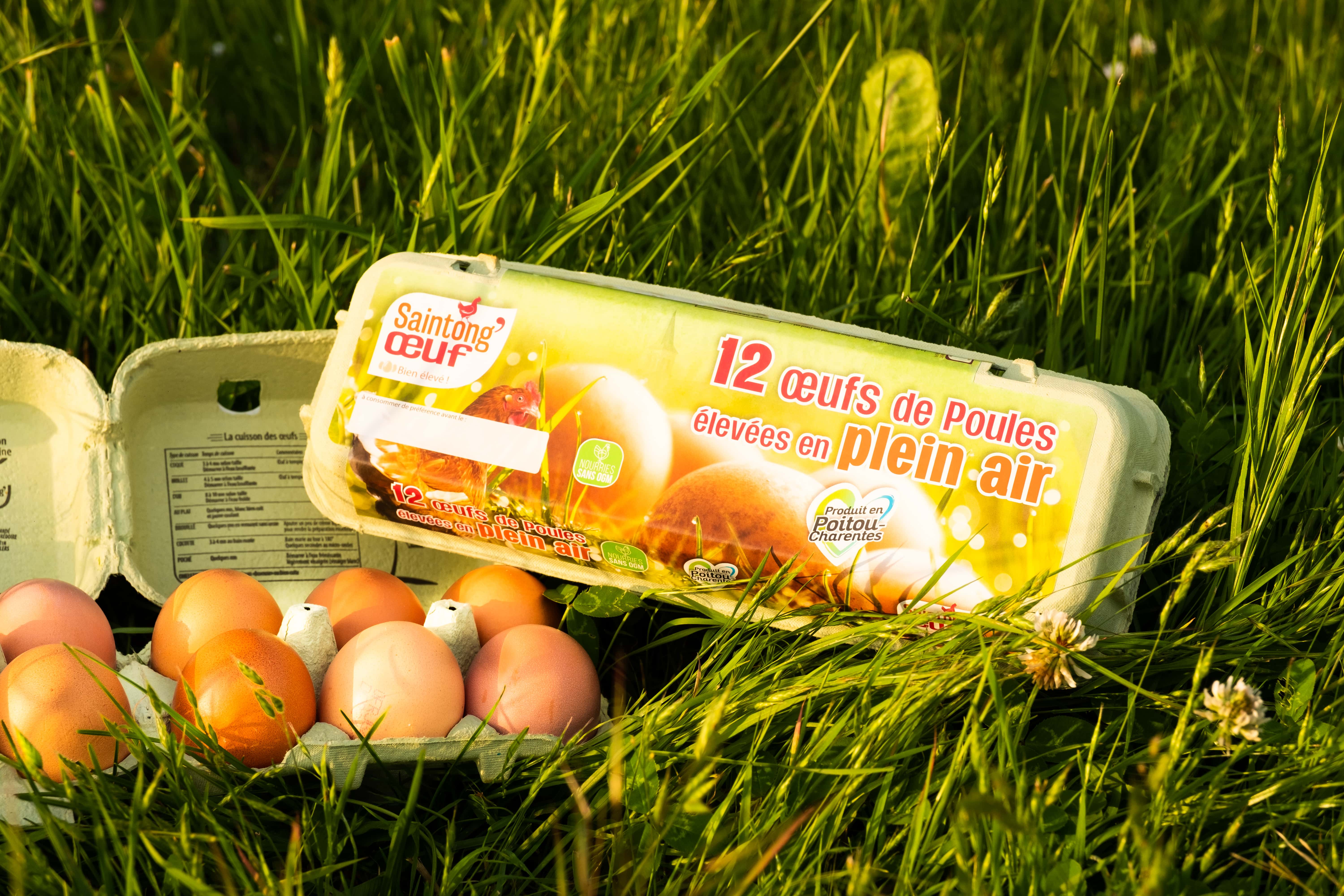 photographe entreprise Bressuire