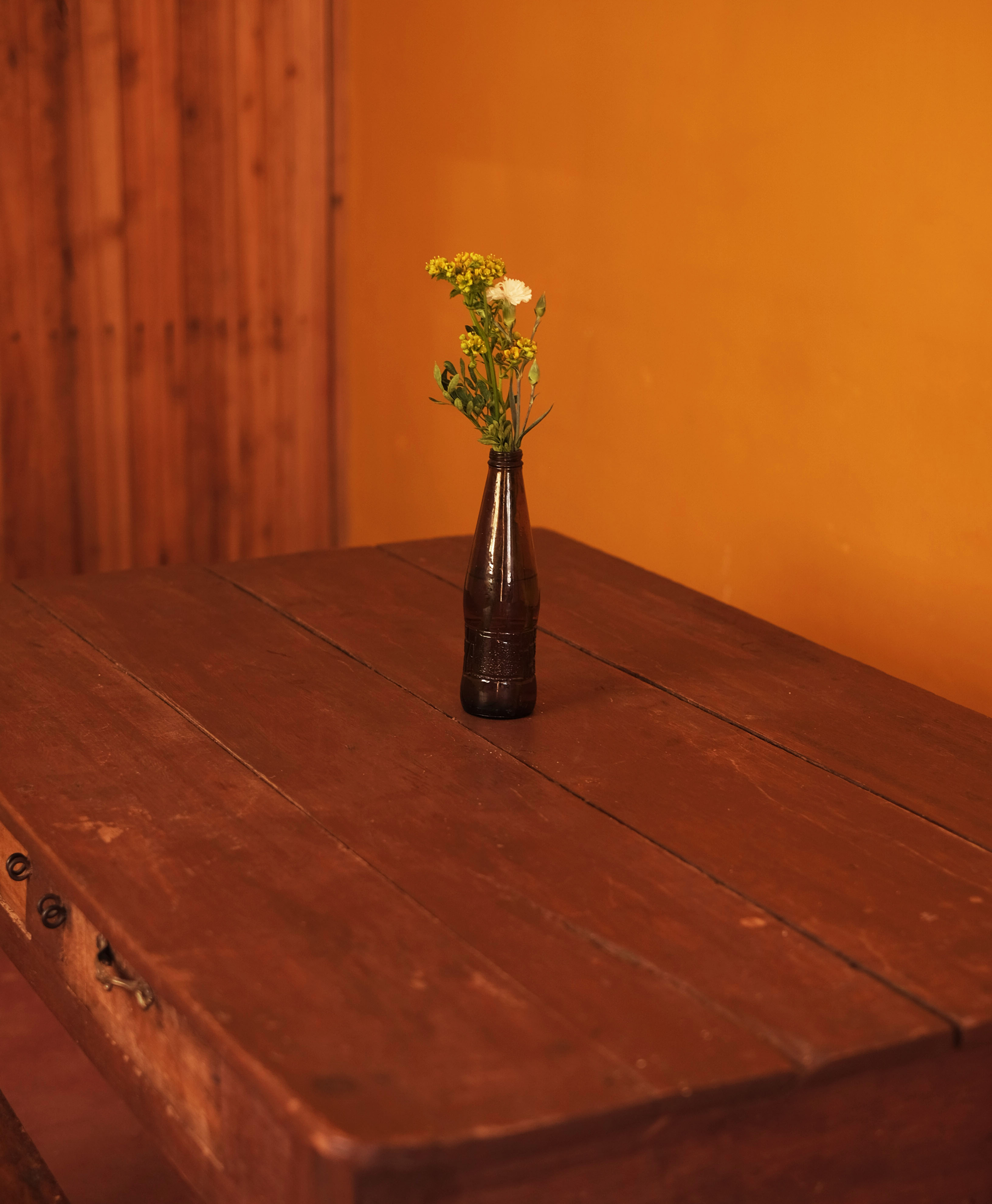 photographe Bressuire