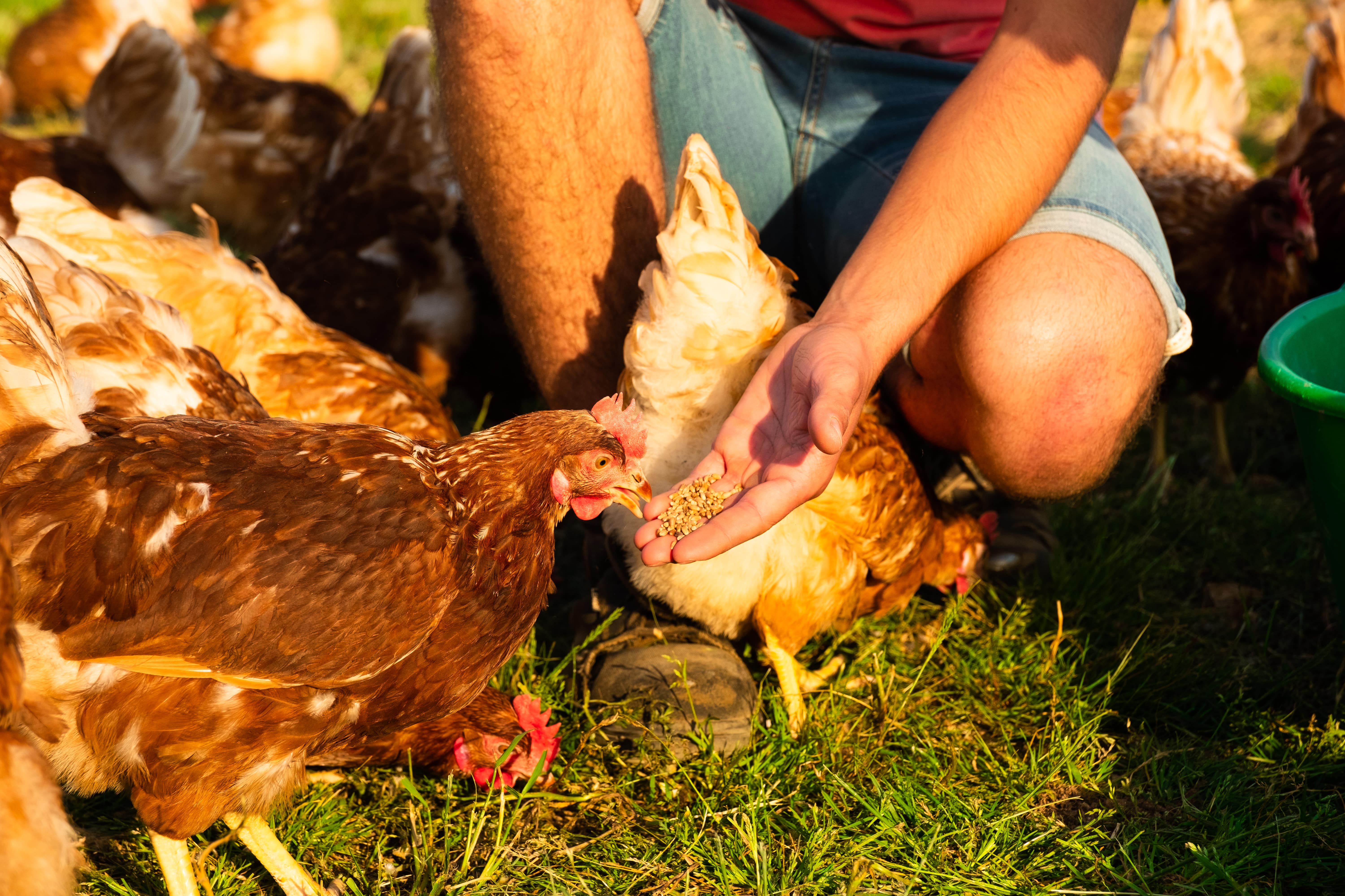 photographe entreprise Bressuire