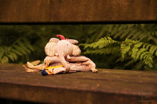 doudou éléphant abandonné sur banc