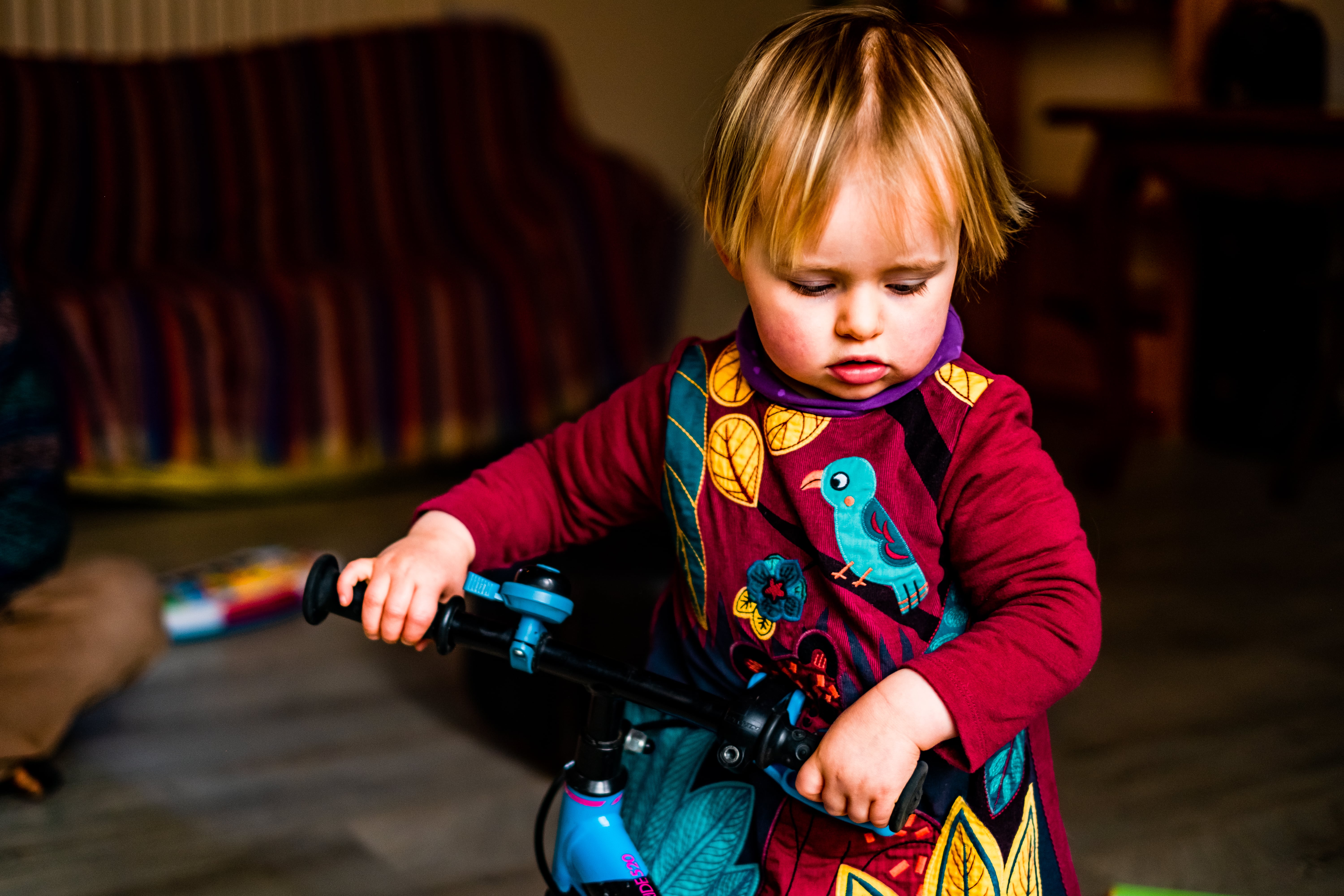 Photographe Bressuire