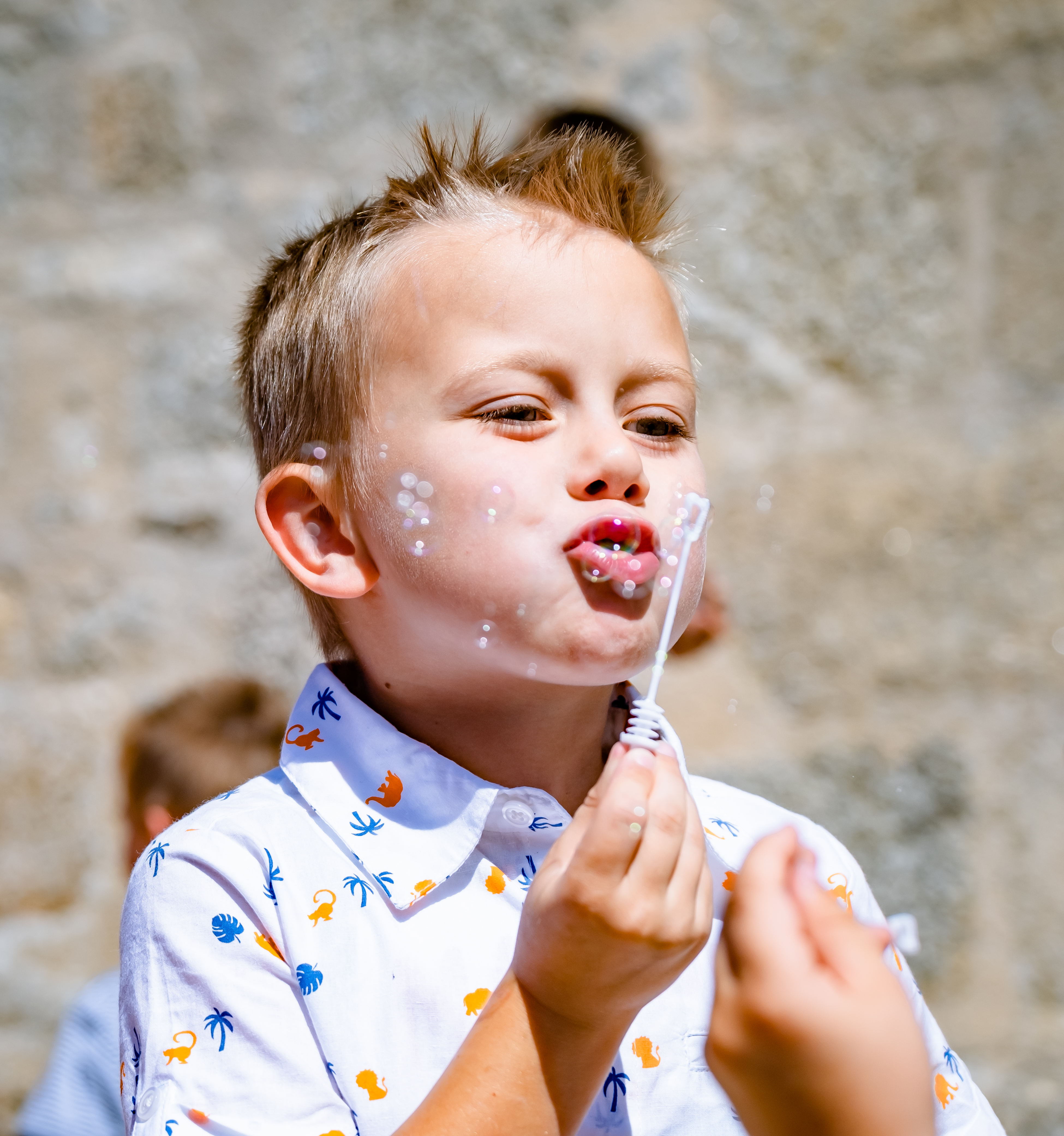 Photographe Bressuire