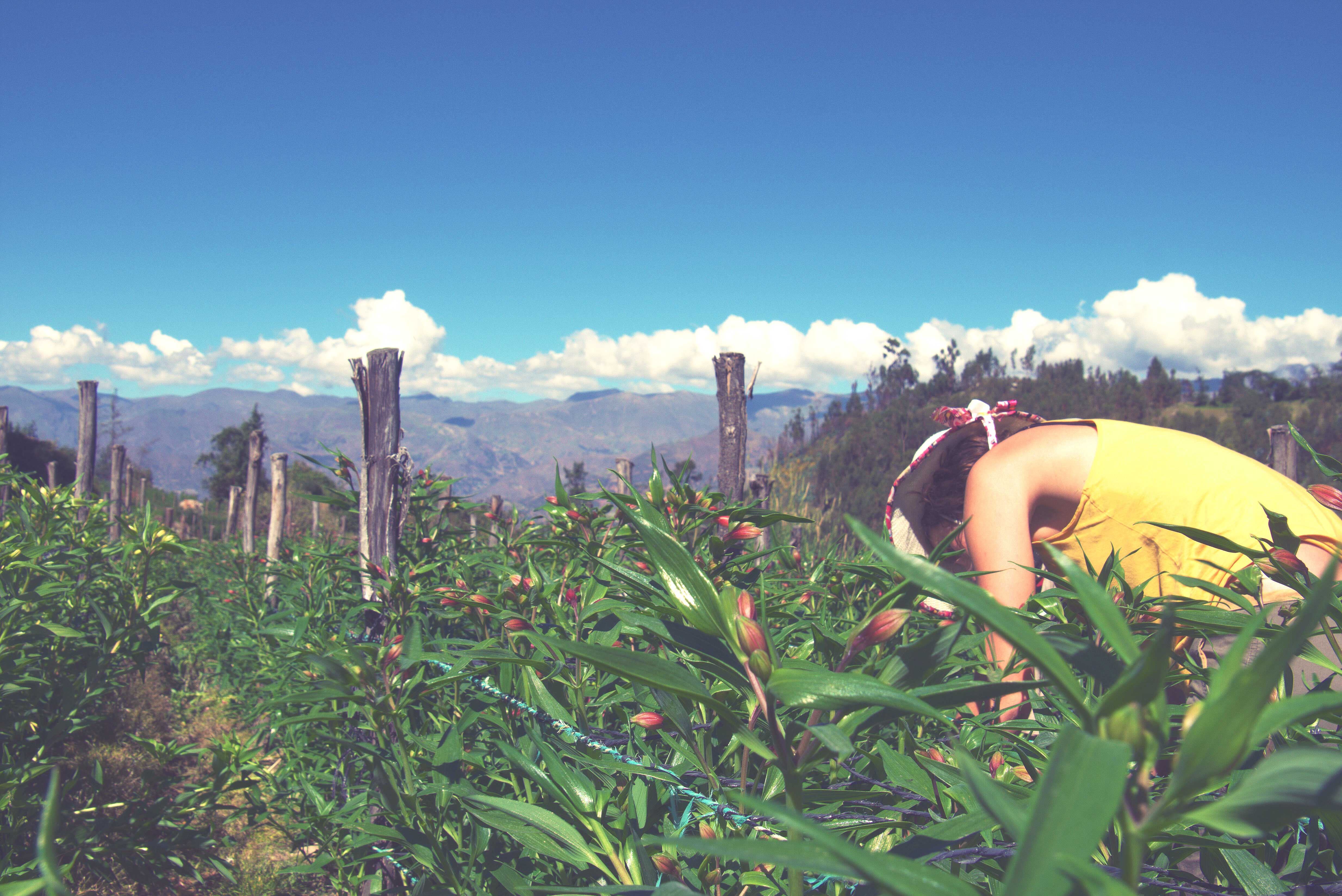 photographe Bressuire