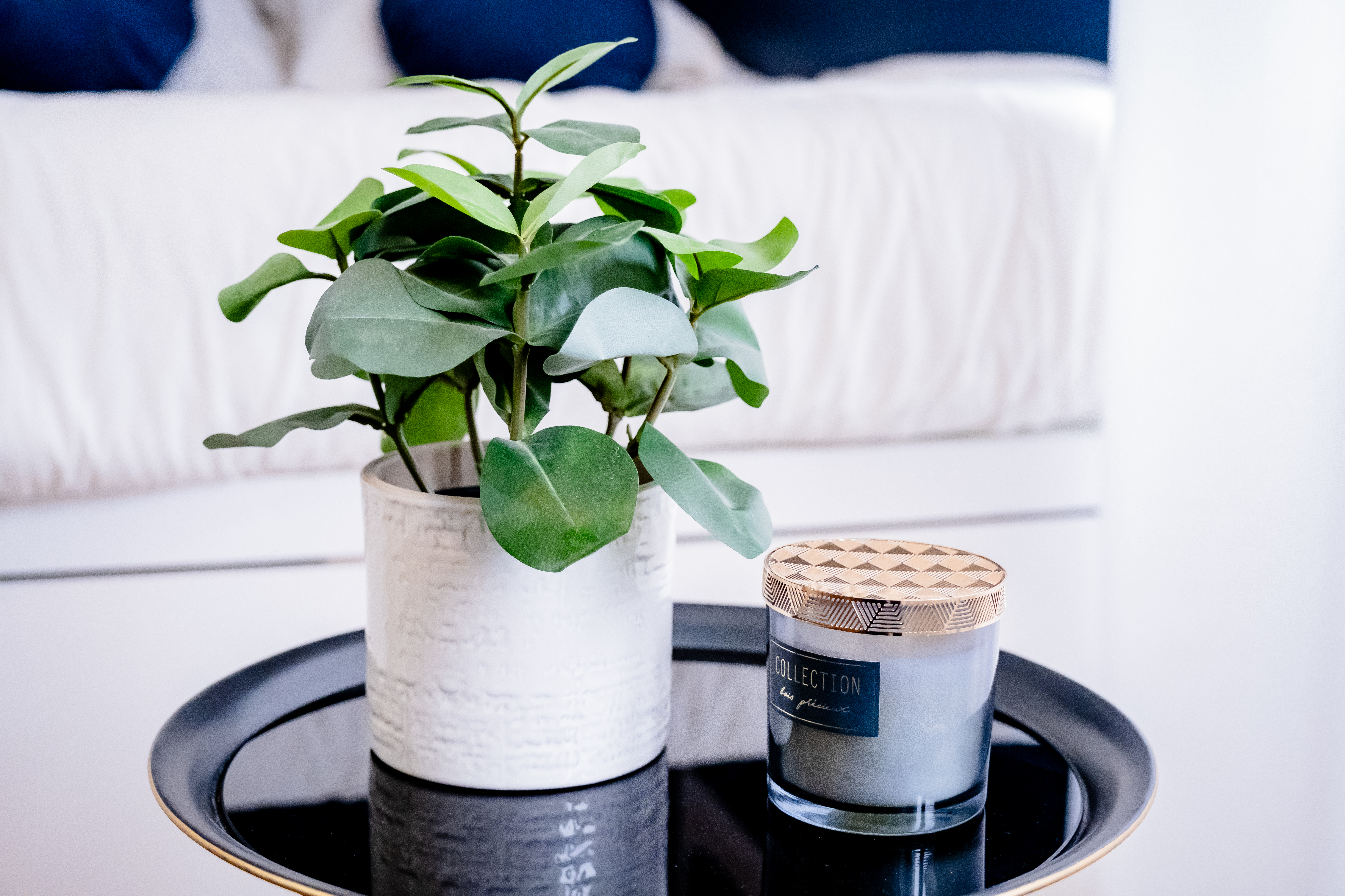 photographe immobilier Bressuire