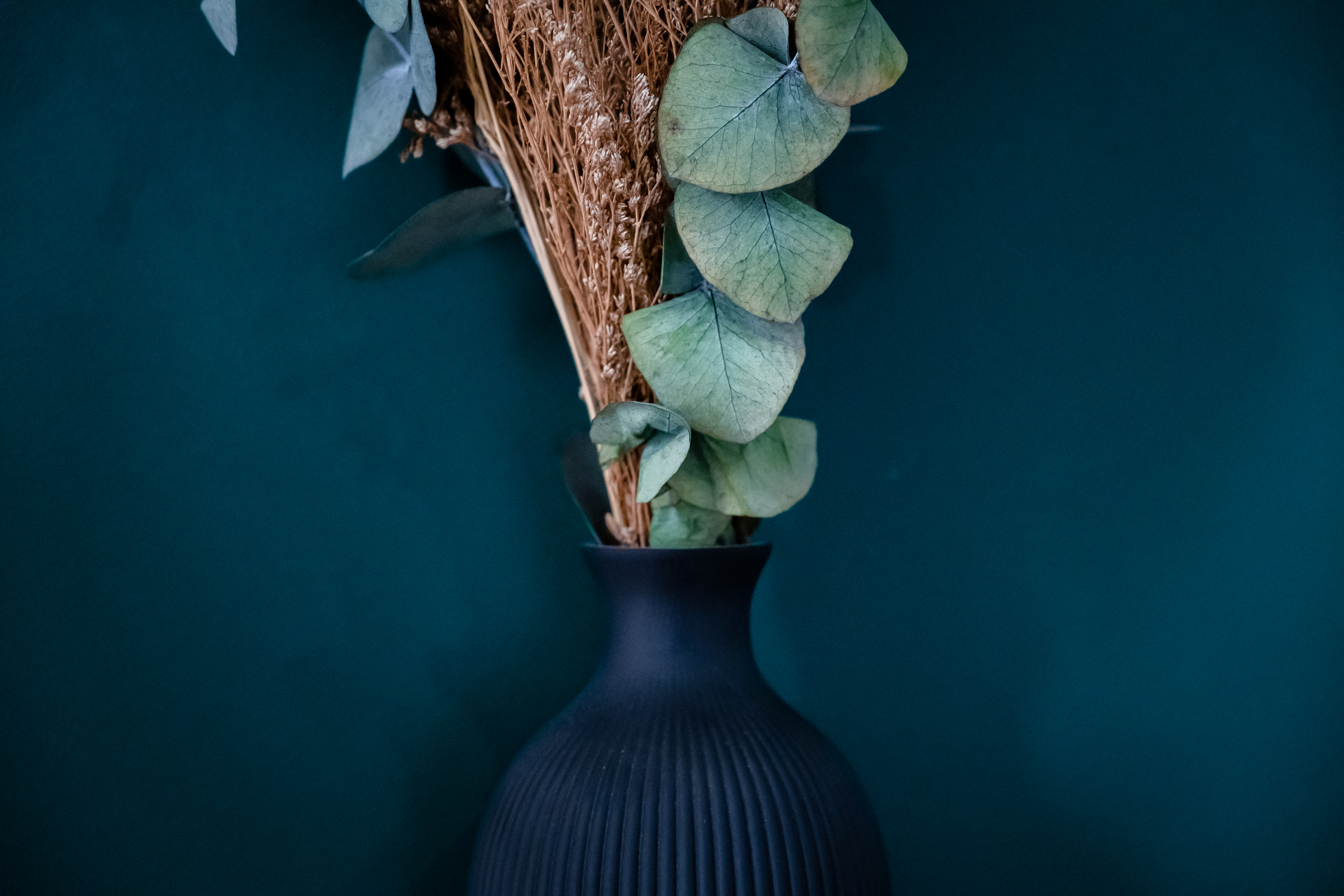 photographe immobilier Bressuire